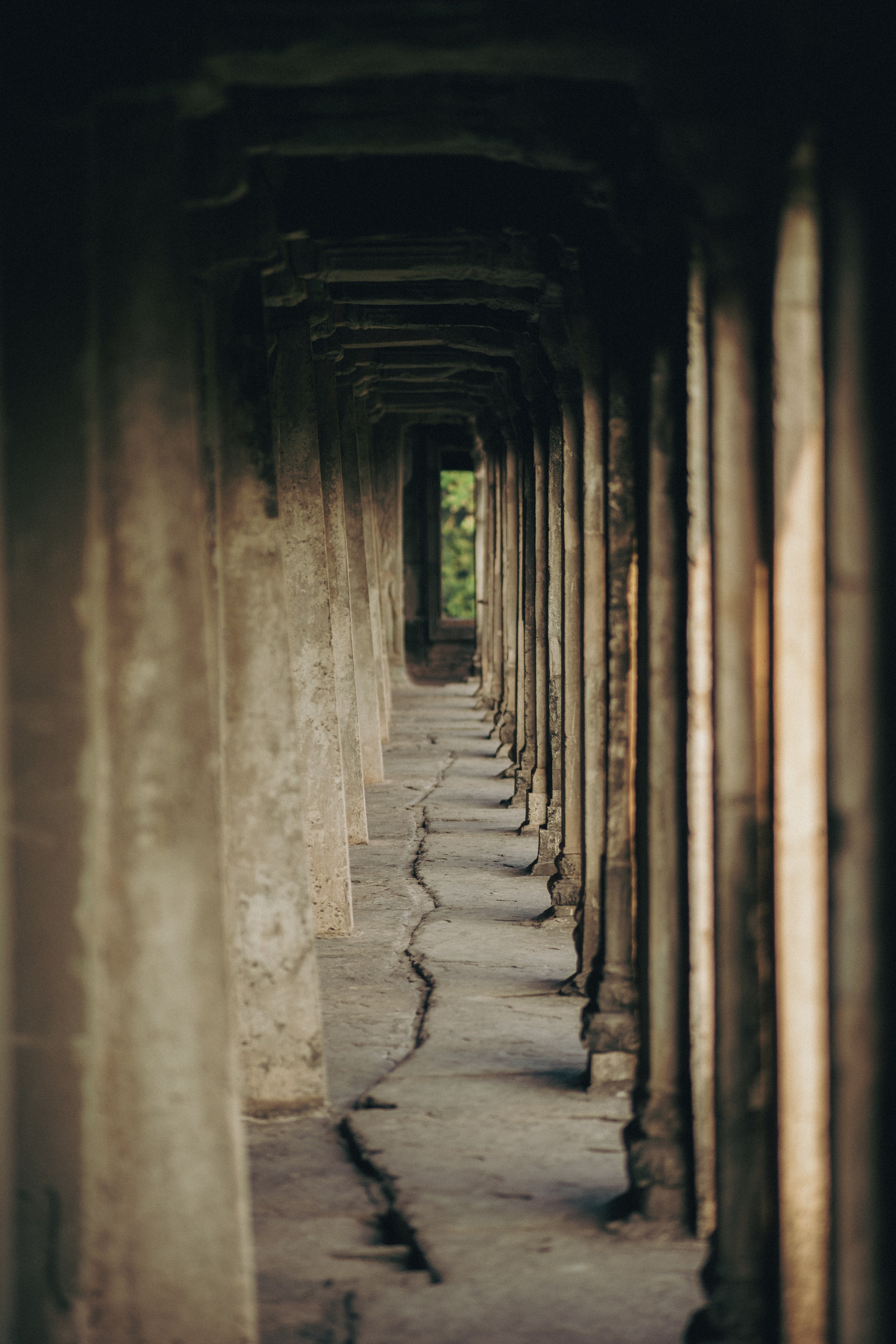 Cambodia. Dmitry Ippolitov