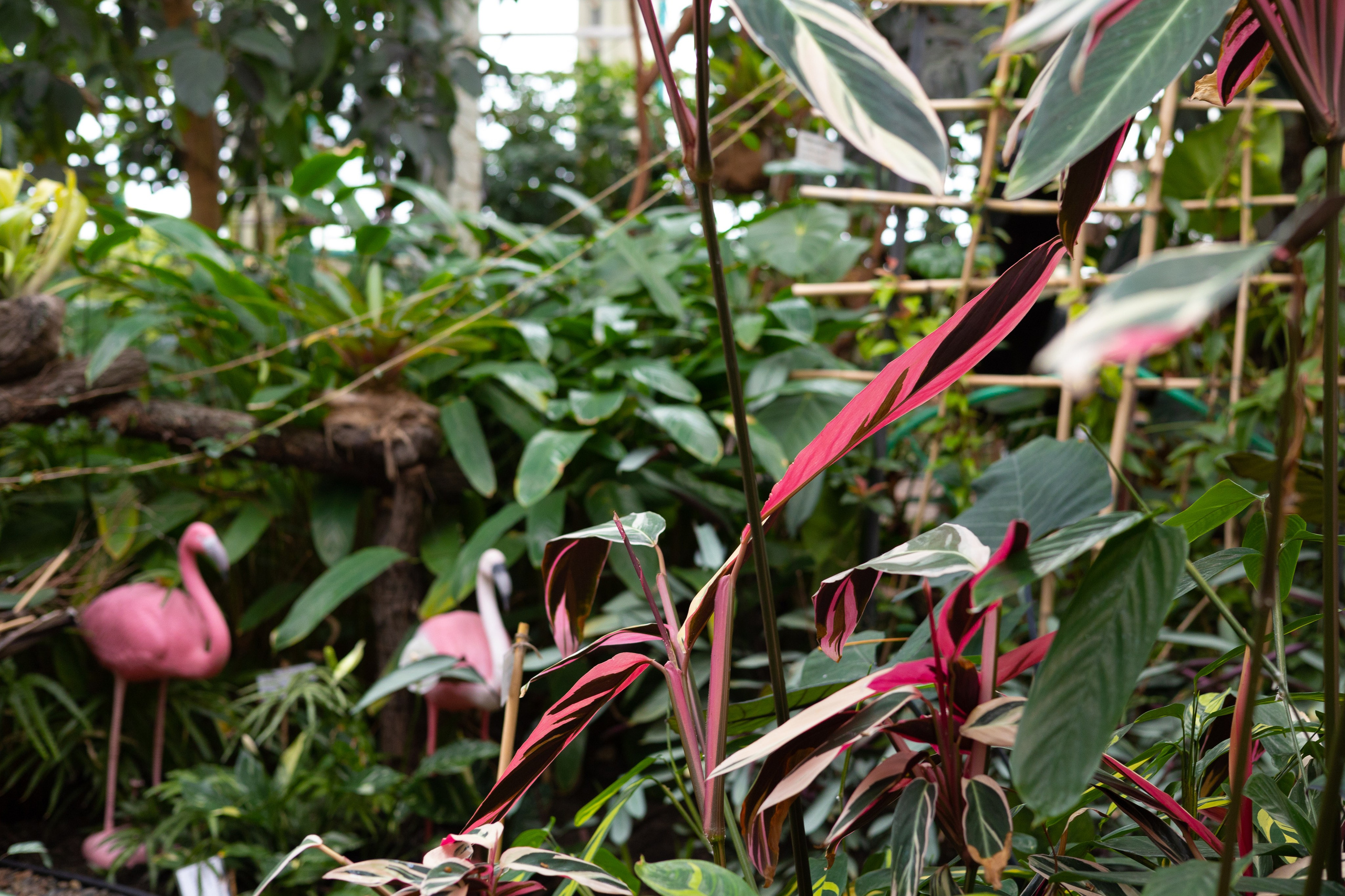 Secret Garden. ITMAG.ME | Visual Art