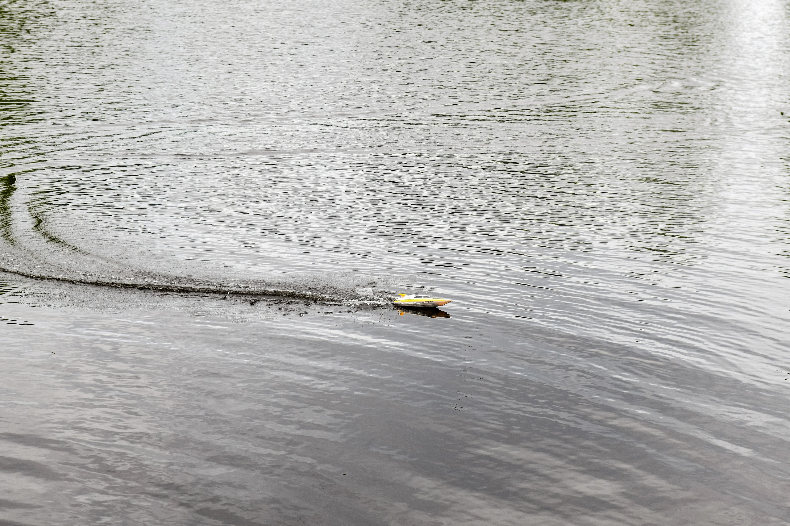 1 июня 2025 год Елагин слёт. ОЛЕСЯ ШАФЕРОВА / ВАШ ФОТОГРАФ в Санкт-Петербурге