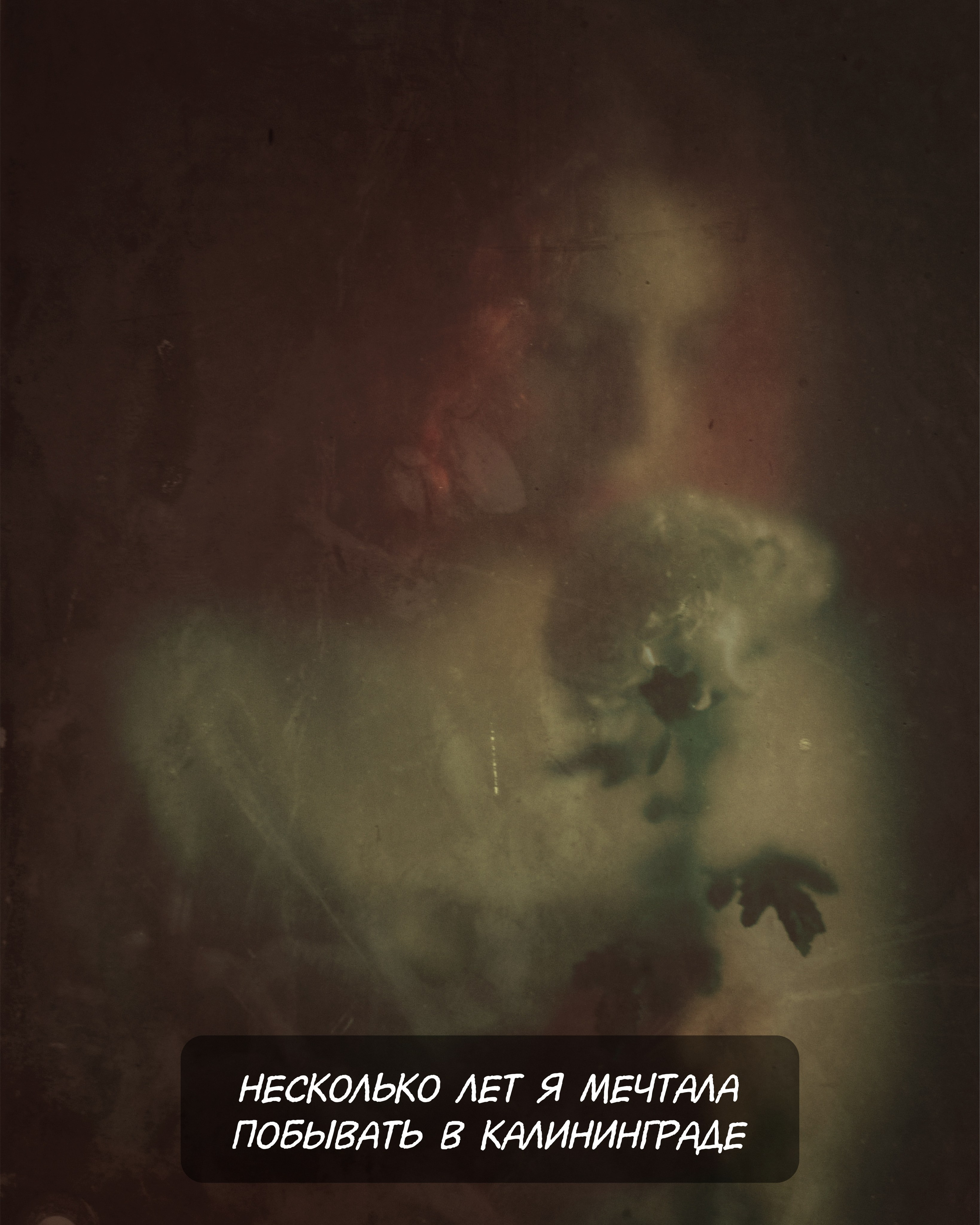 Калининград, ПОНАРТ, Международная фотовыставка