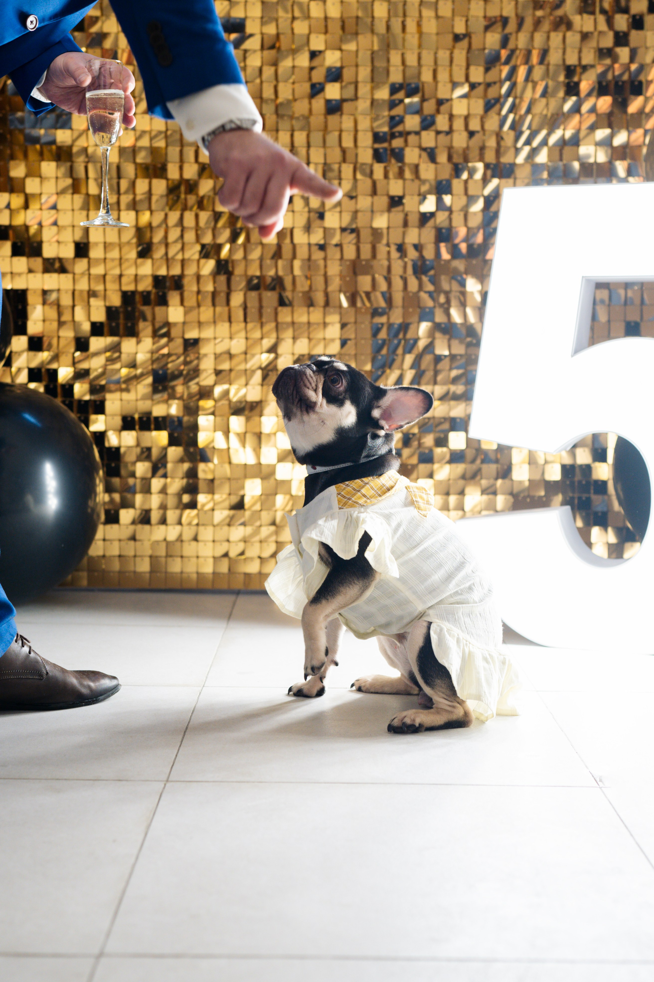 Юбилей 50 лет. Свадебный фотограф в Москве Кристина Чехова