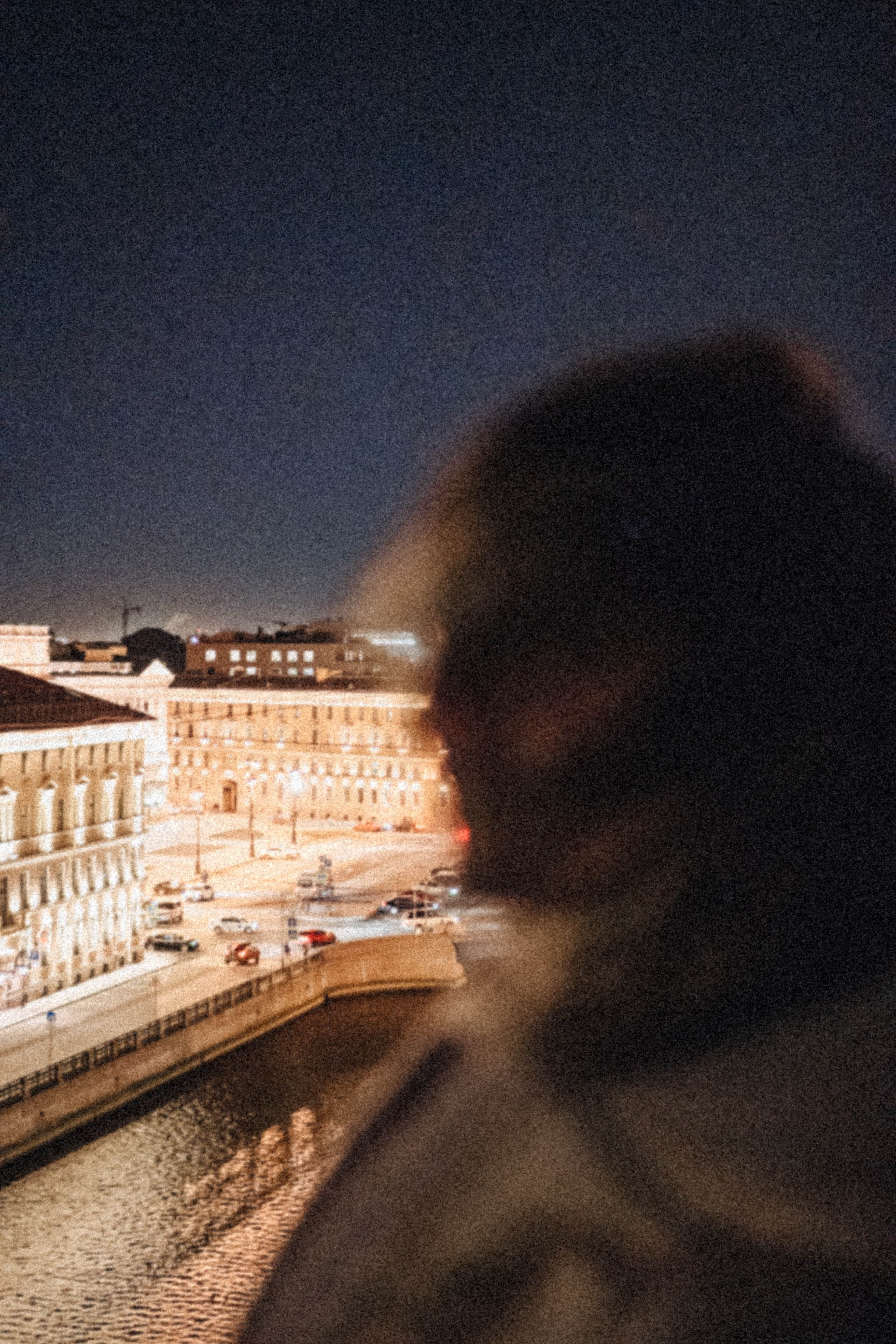 Крыши Питера. Профессиональный фотограф, Санкт-Петербург — Виктория Богомолова