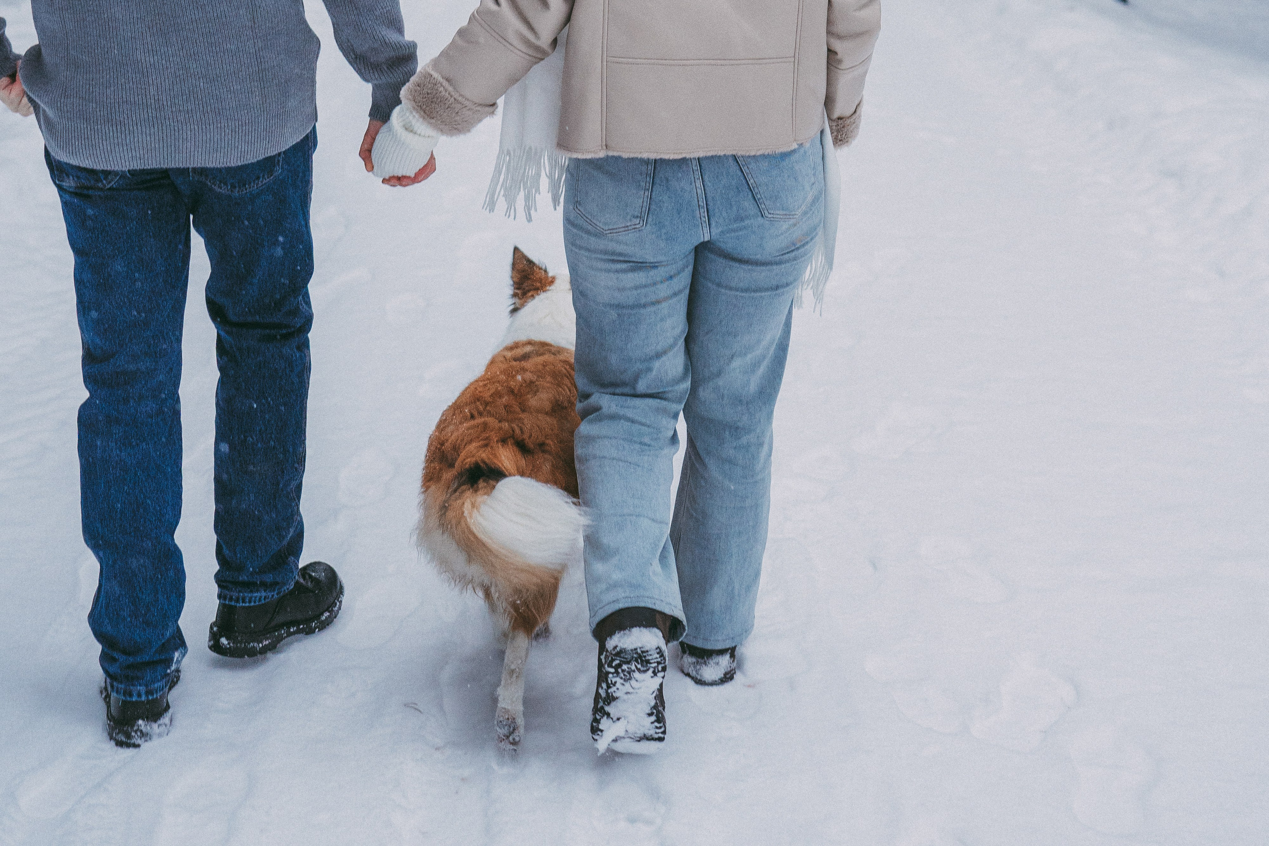 Катя, Анатолий и Елай. Фотограф анималист в Москве и Санкт-Петербурге Свиридова Анна