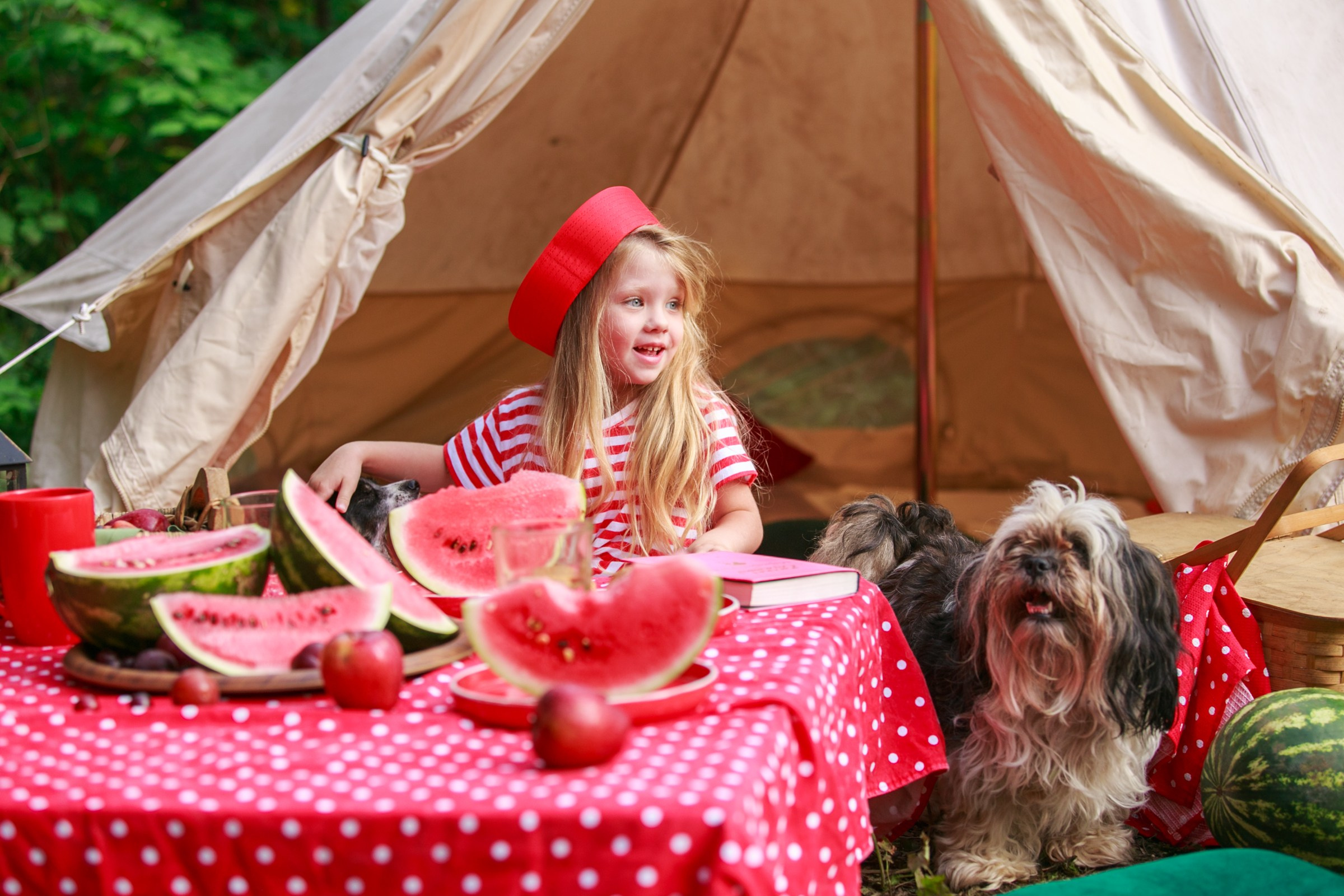 Фотосессия с арбузами, пикап с арбузами, съёмка с арбузами, летняя фотосессия с арбузами. Семейный и детский фотограф в Москве Мария Быкова
