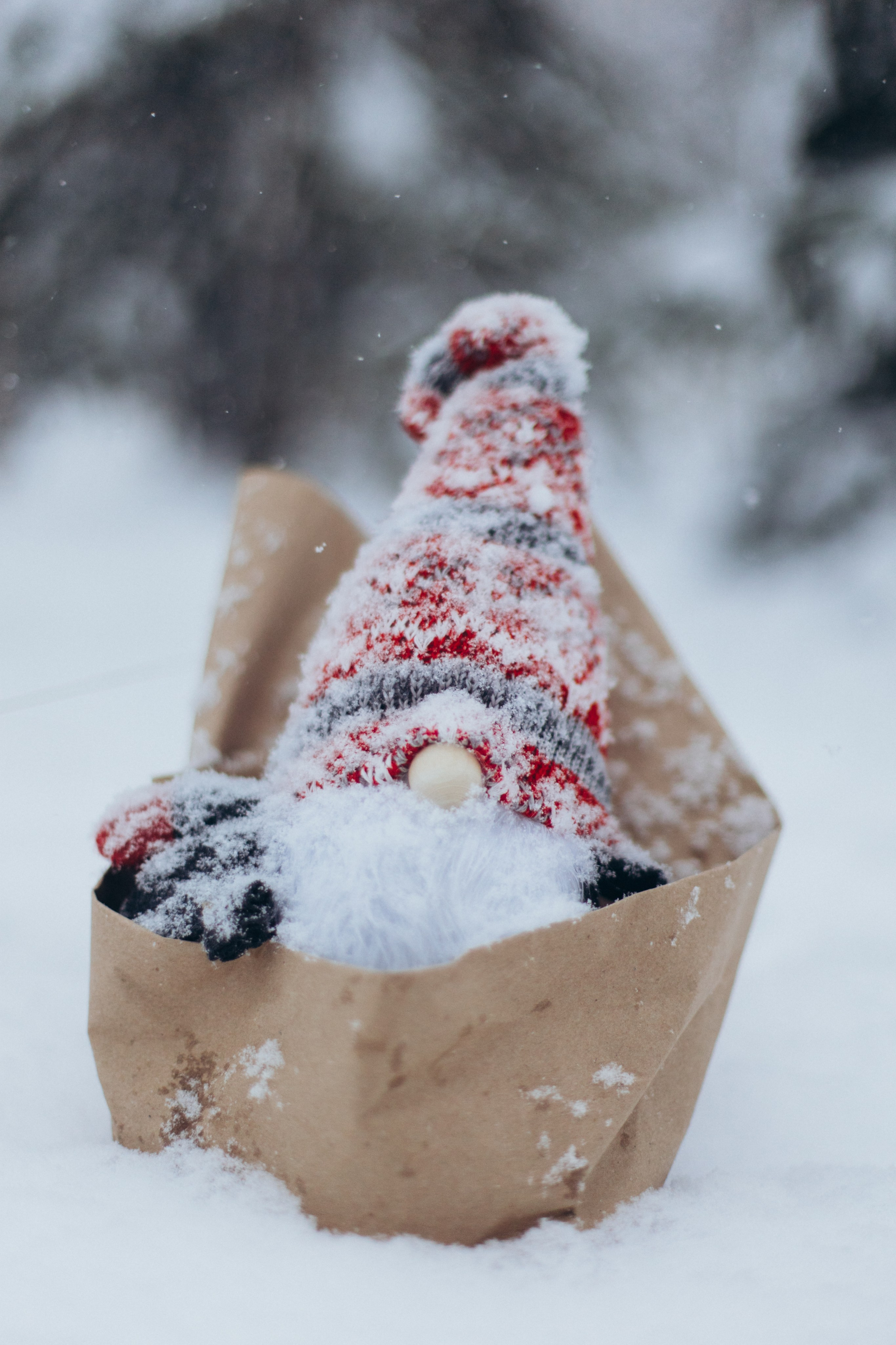 Зимняя история