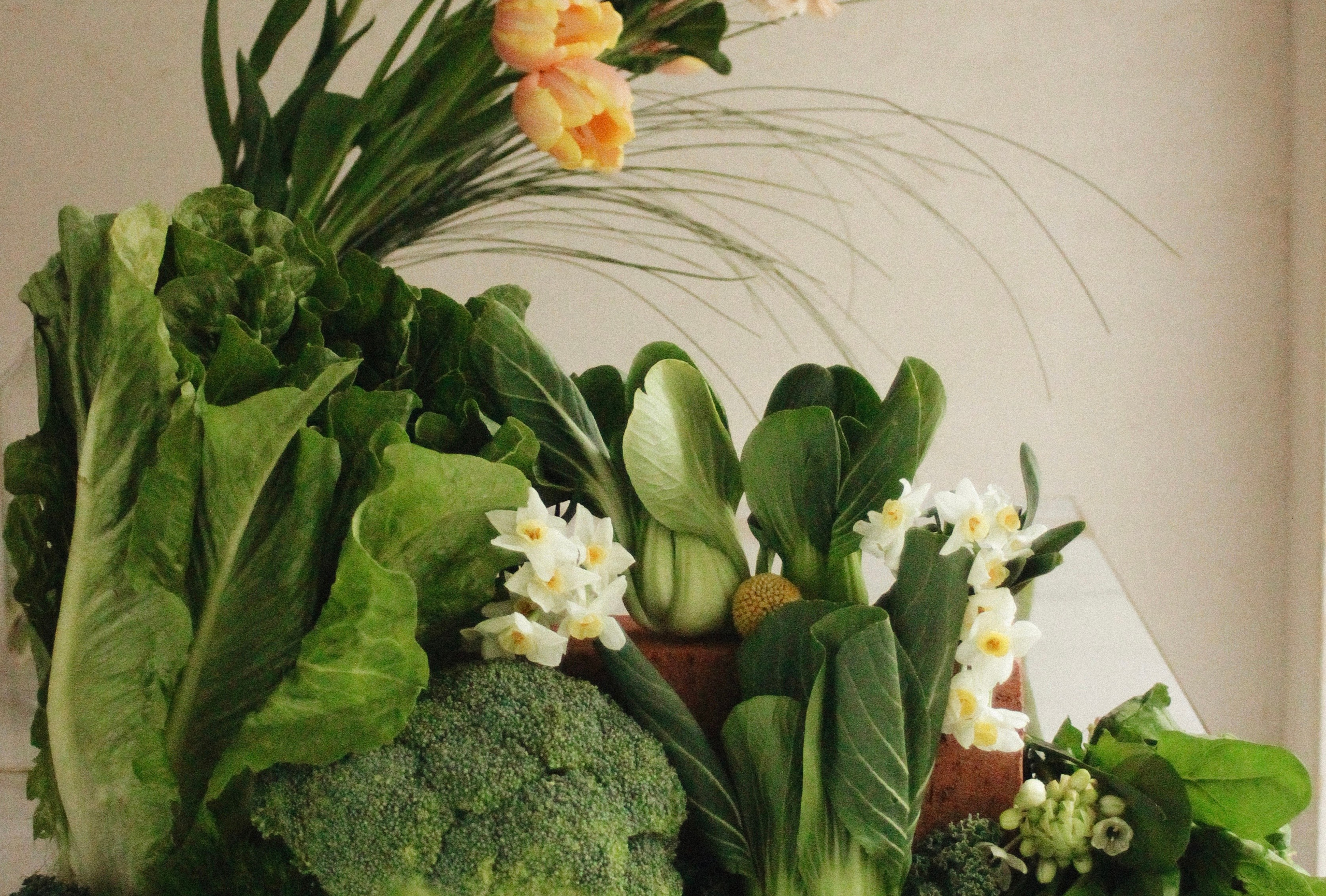 Света Голобородько, фудфотограф в Санкт-Петербурге