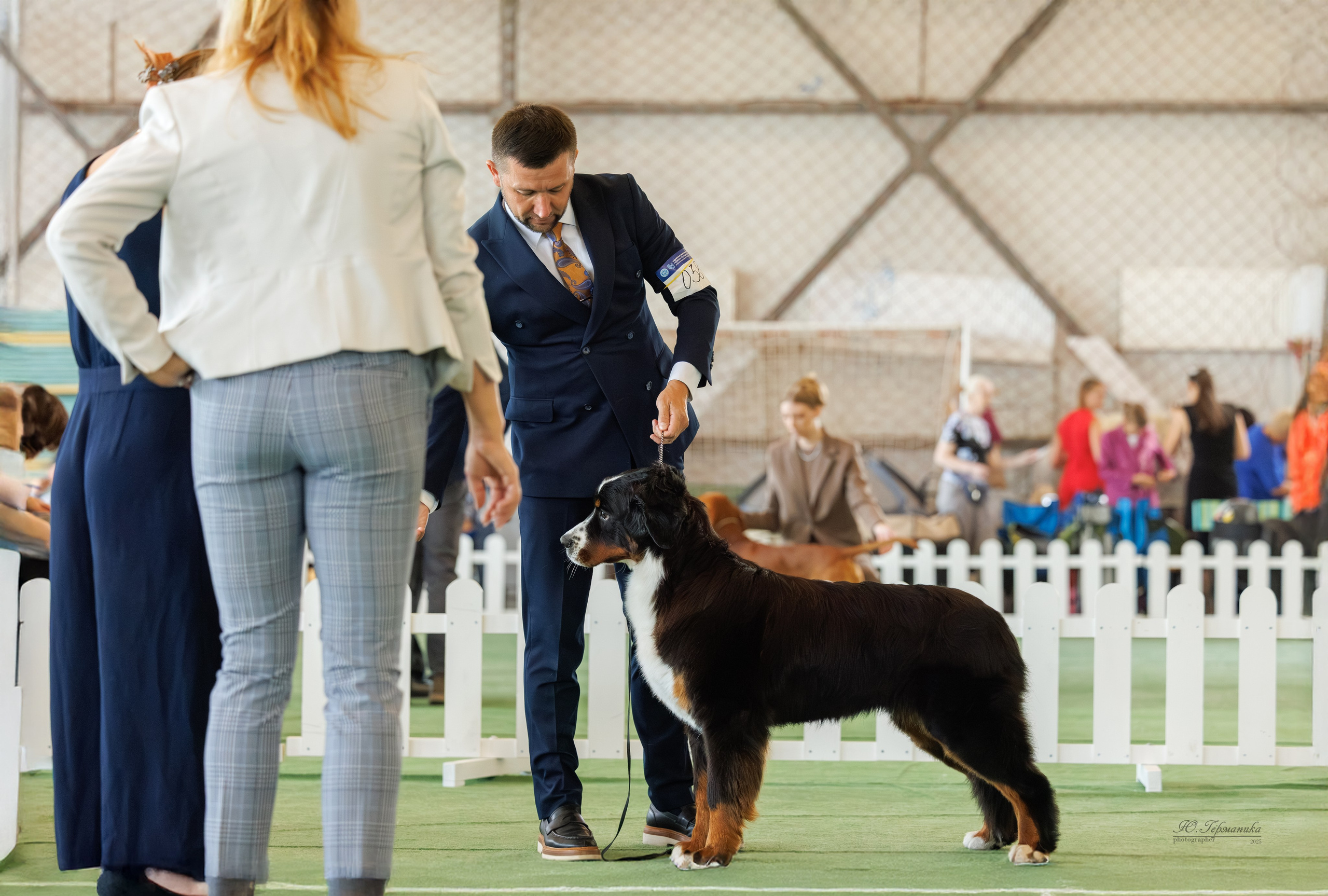 Батуми 3хCACIB 27-29.06.2025. Фотограф-анималист Юлия Германика