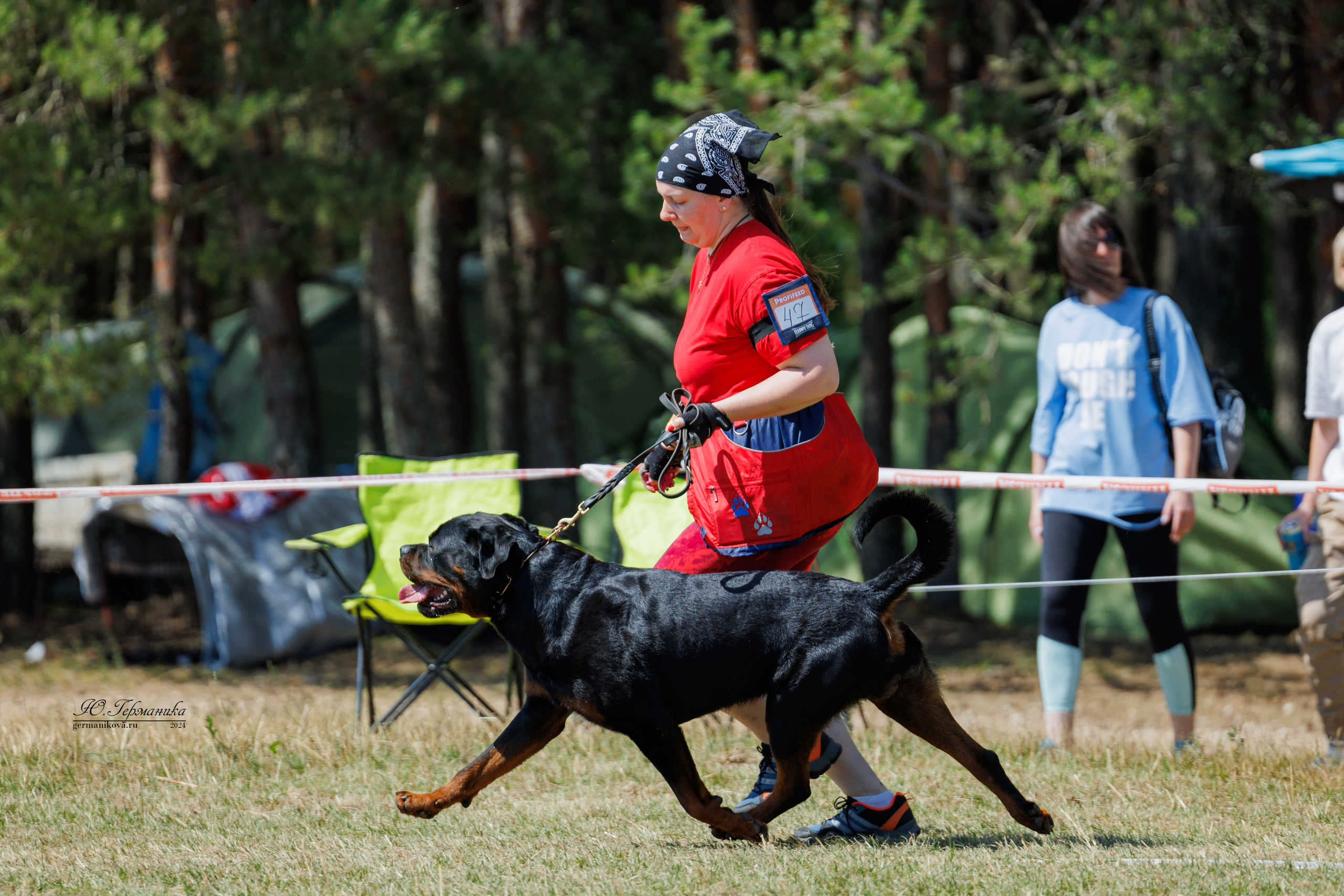 ПК и КЧК ротвейлеры Тверь 6-7.07.2024. Фотограф-анималист Юлия Германика