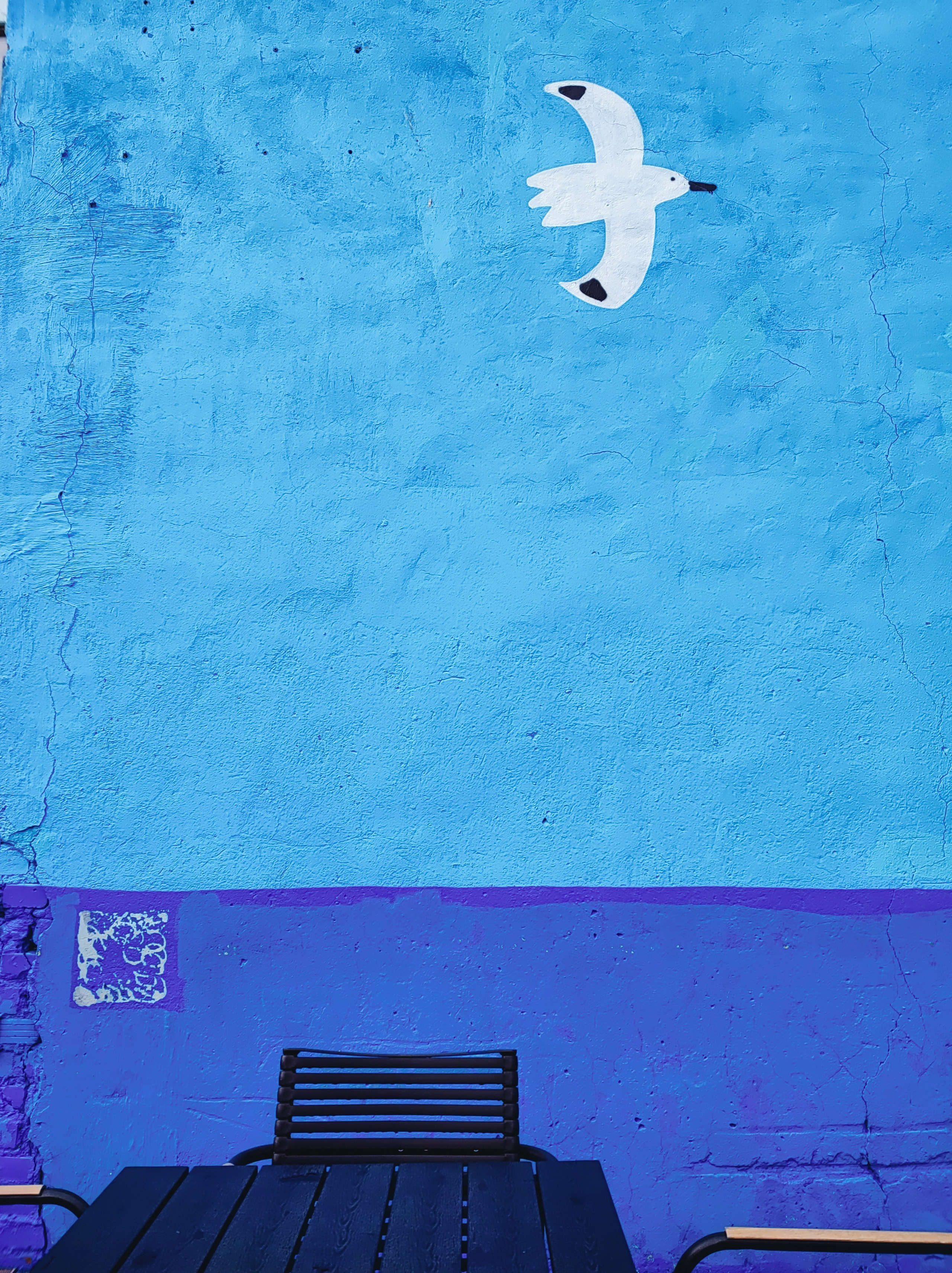 Намобилкус питерский. Репортажный фотограф Алексей Пирязев