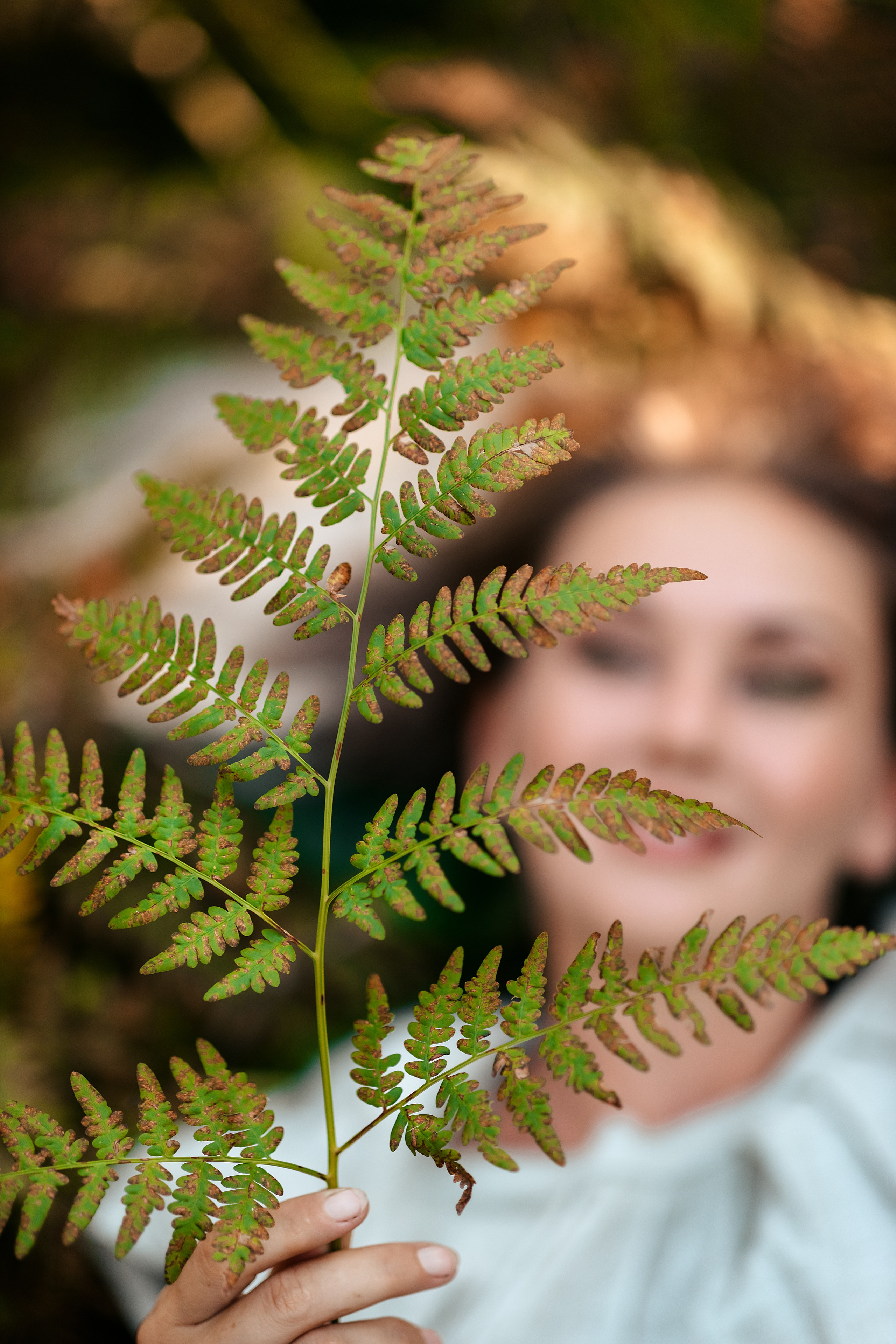 В папоротниках