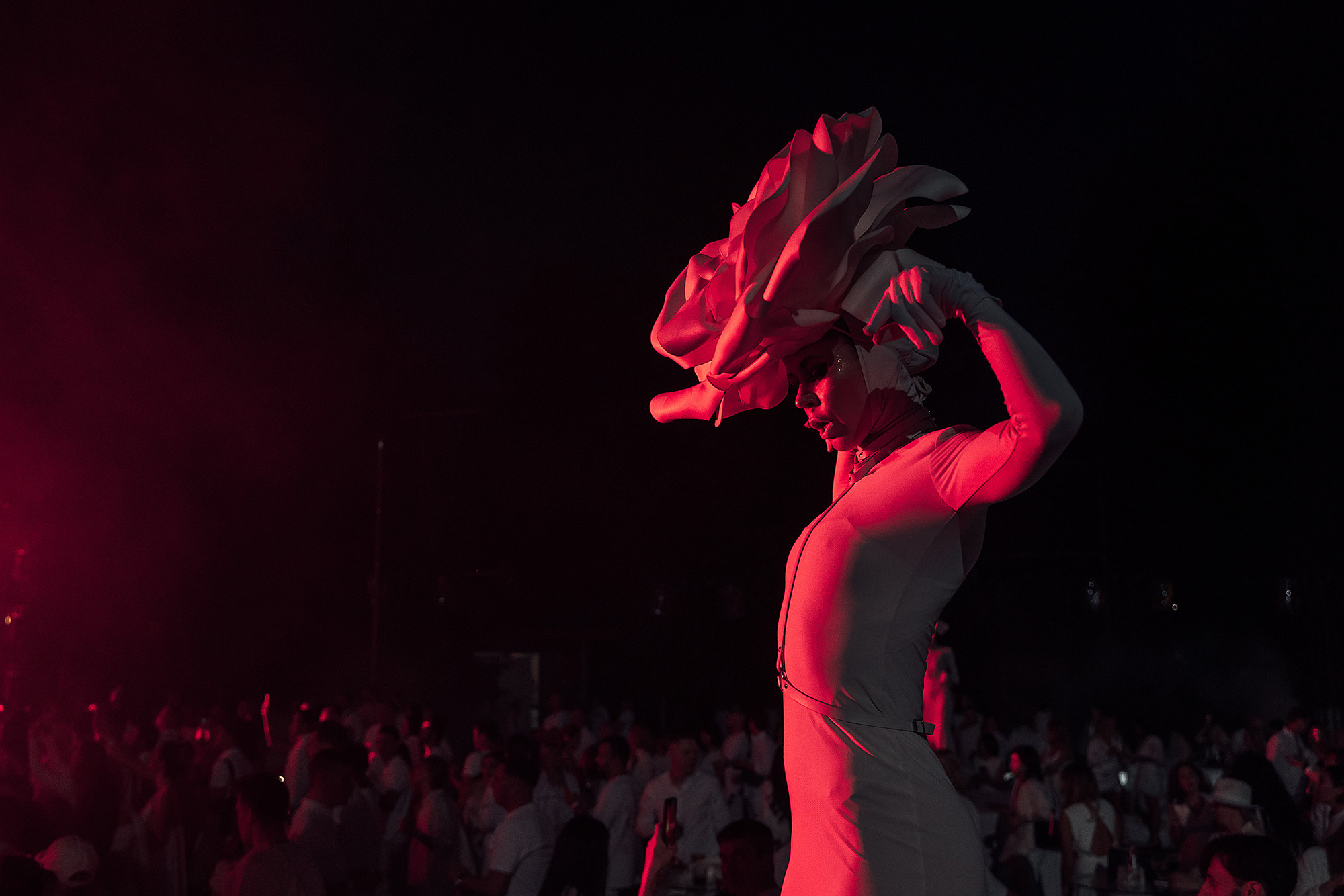 WhiteWill. Фотограф на мероприятие