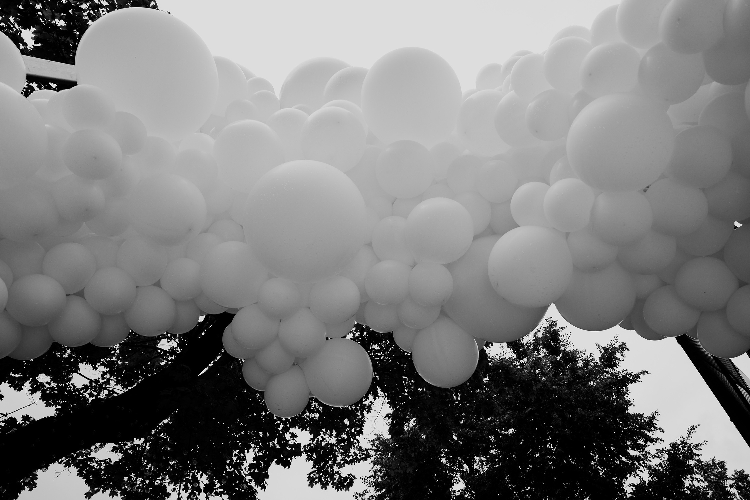 WhiteWill 2023. Фотограф на мероприятие