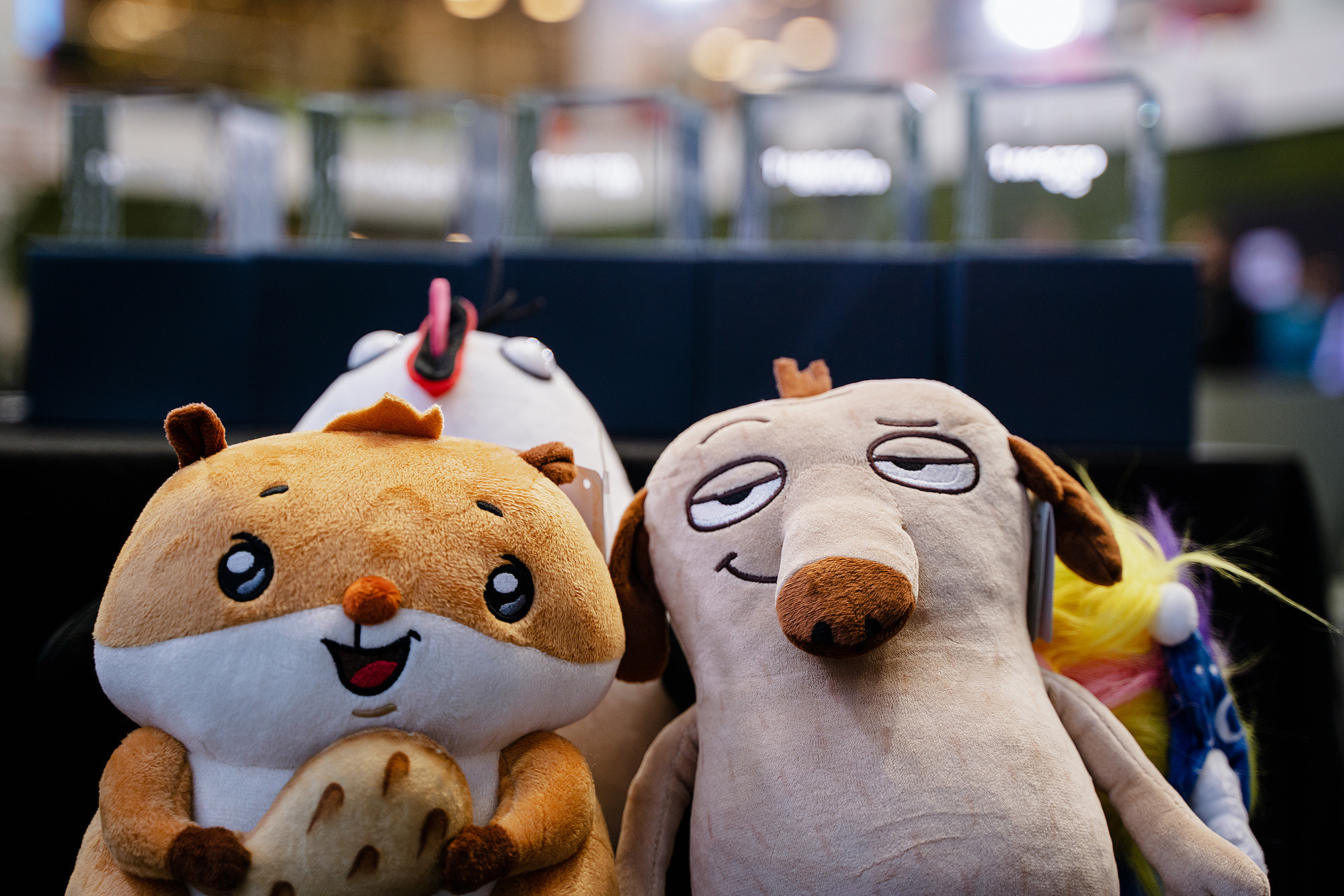 VK Cup. Фотограф на мероприятие