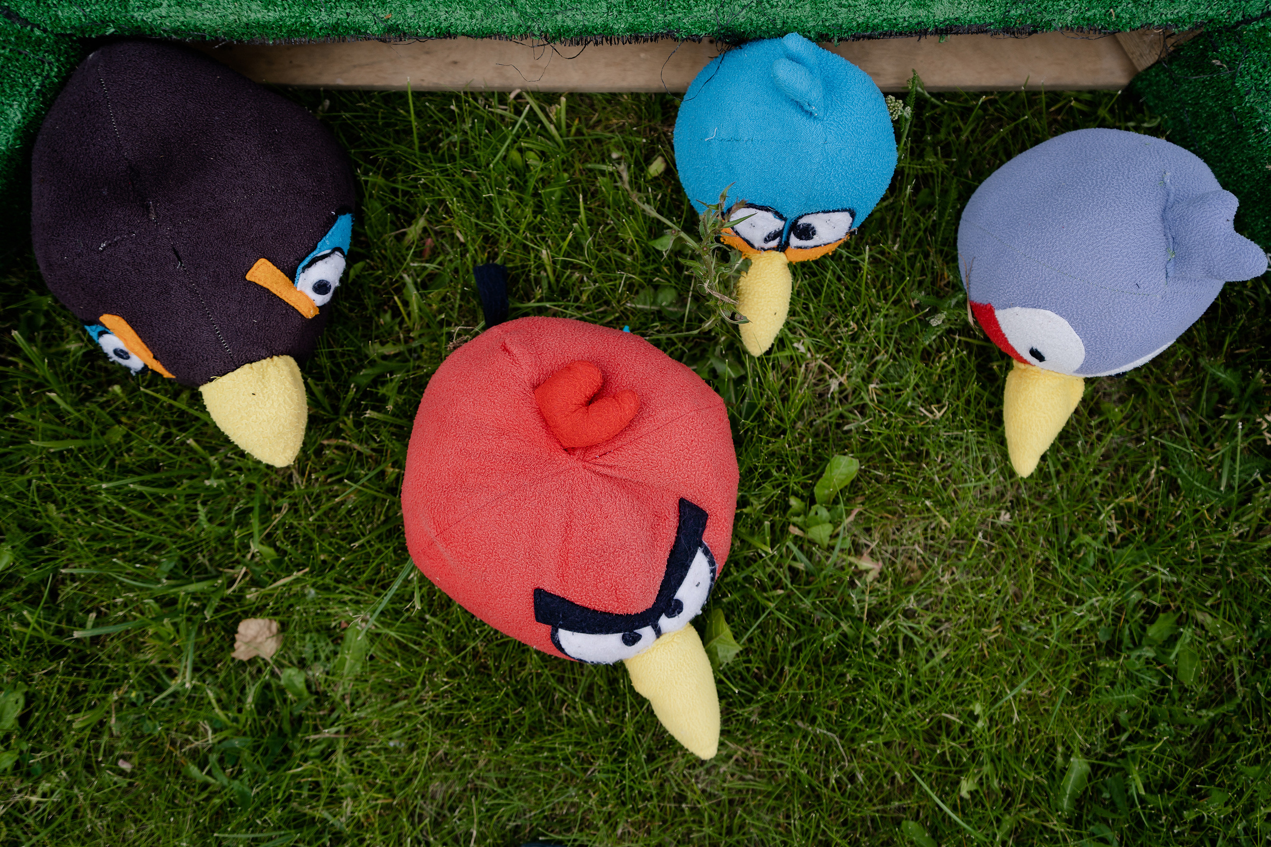 Корпоратив Moduleto. Фотограф на мероприятие