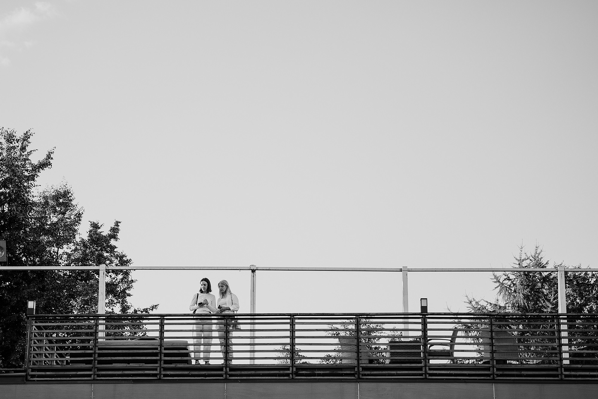 WhiteWill. Фотограф на мероприятие