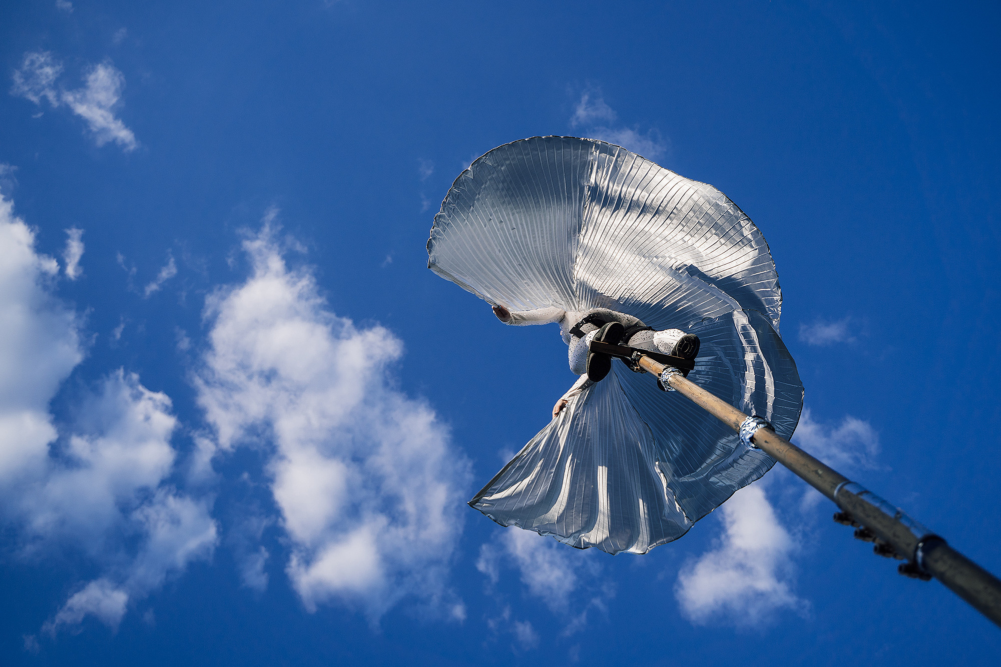 WhiteWill. Фотограф на мероприятие