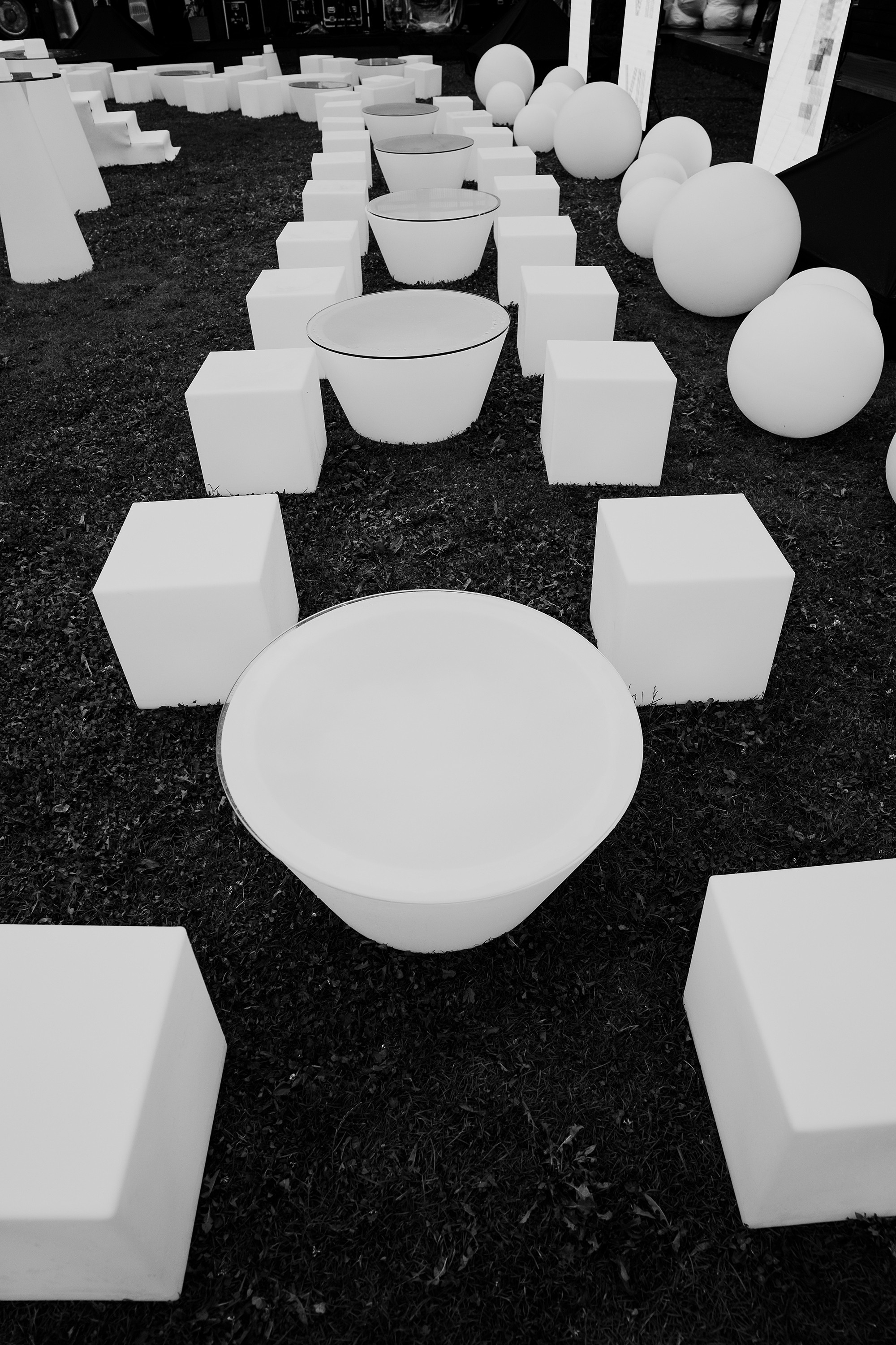 WhiteWill 2023. Фотограф на мероприятие