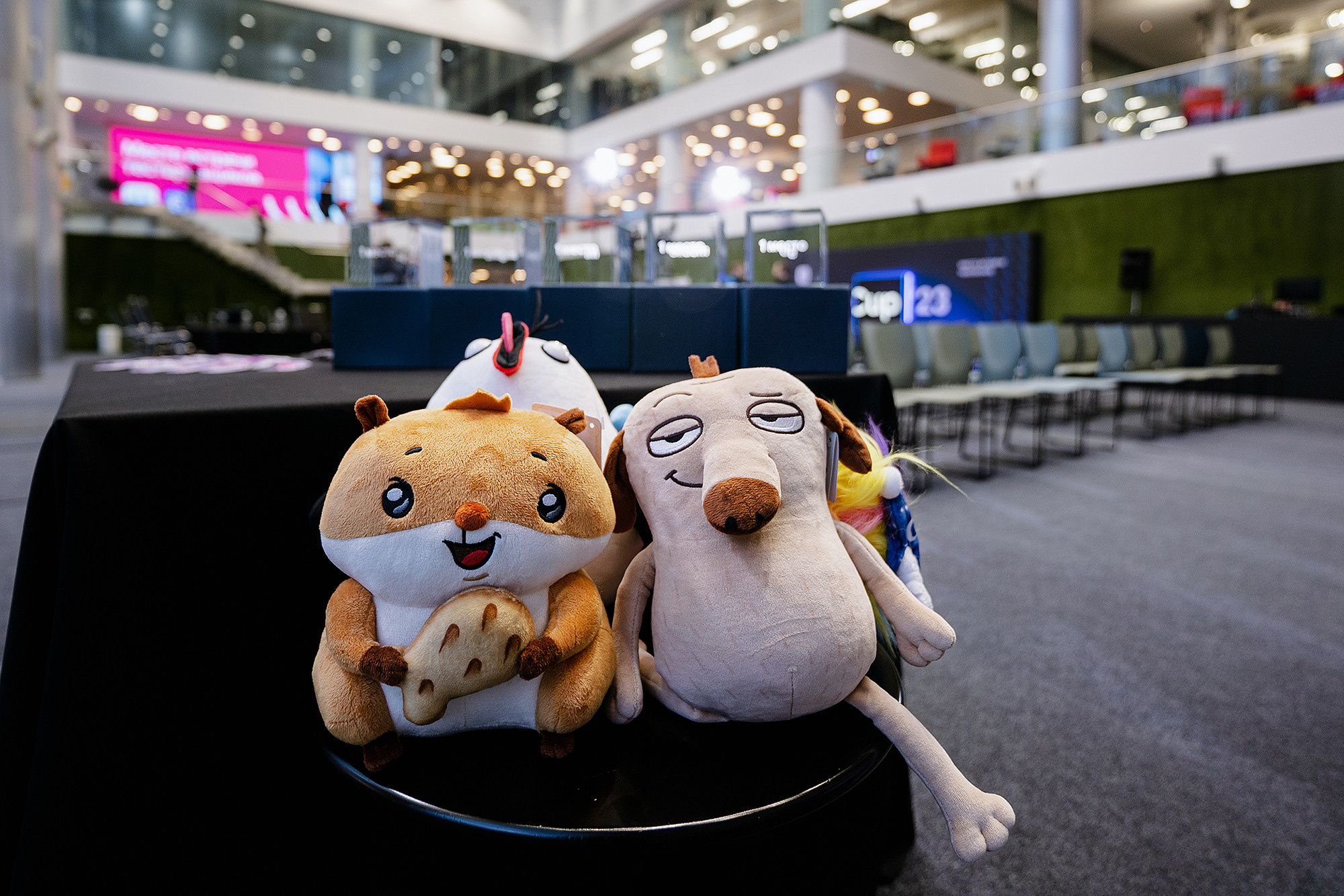 VK Cup. Фотограф на мероприятие