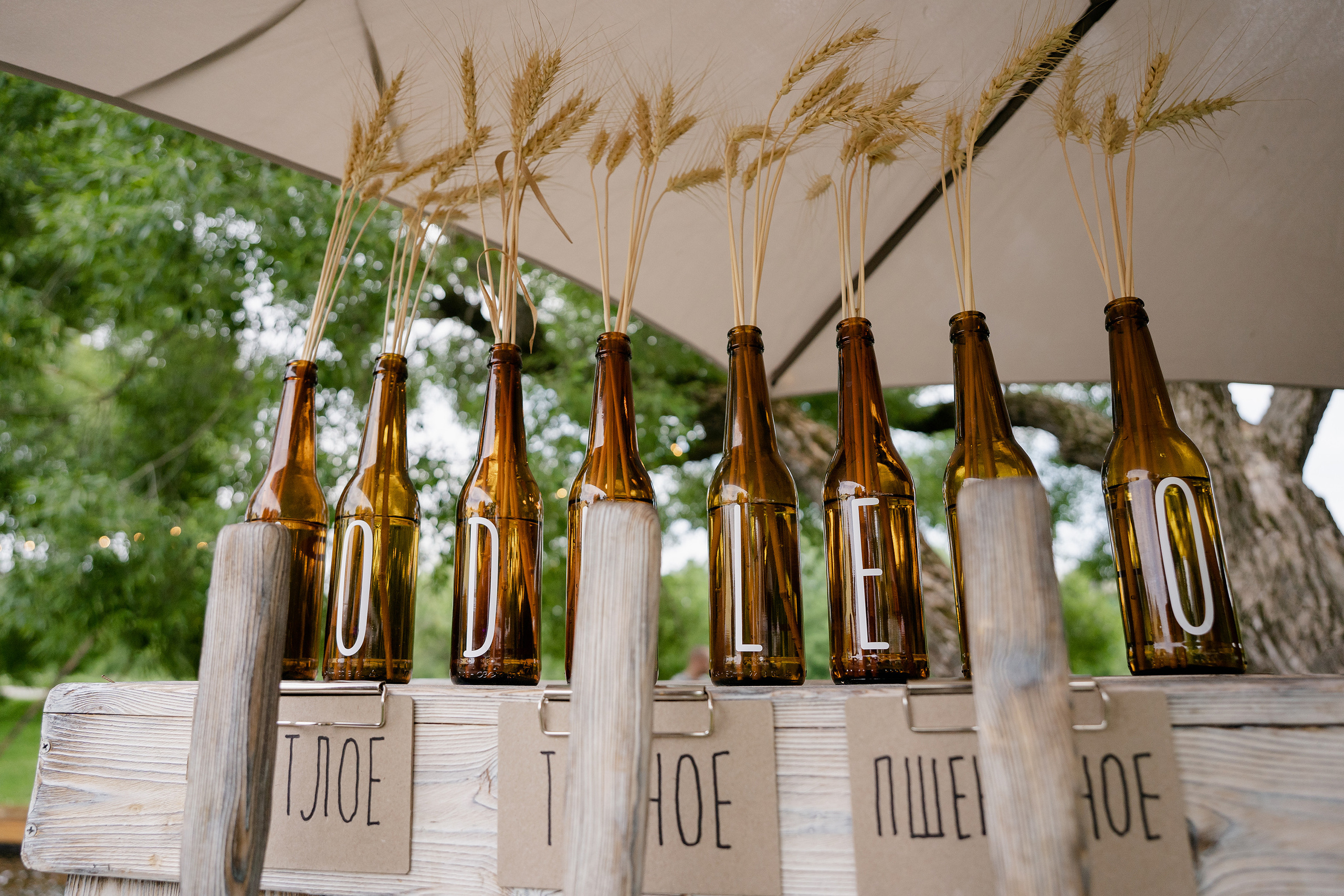 Корпоратив Moduleto. Фотограф на мероприятие