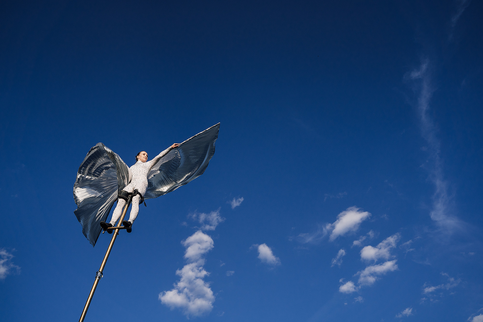 WhiteWill. Фотограф на мероприятие