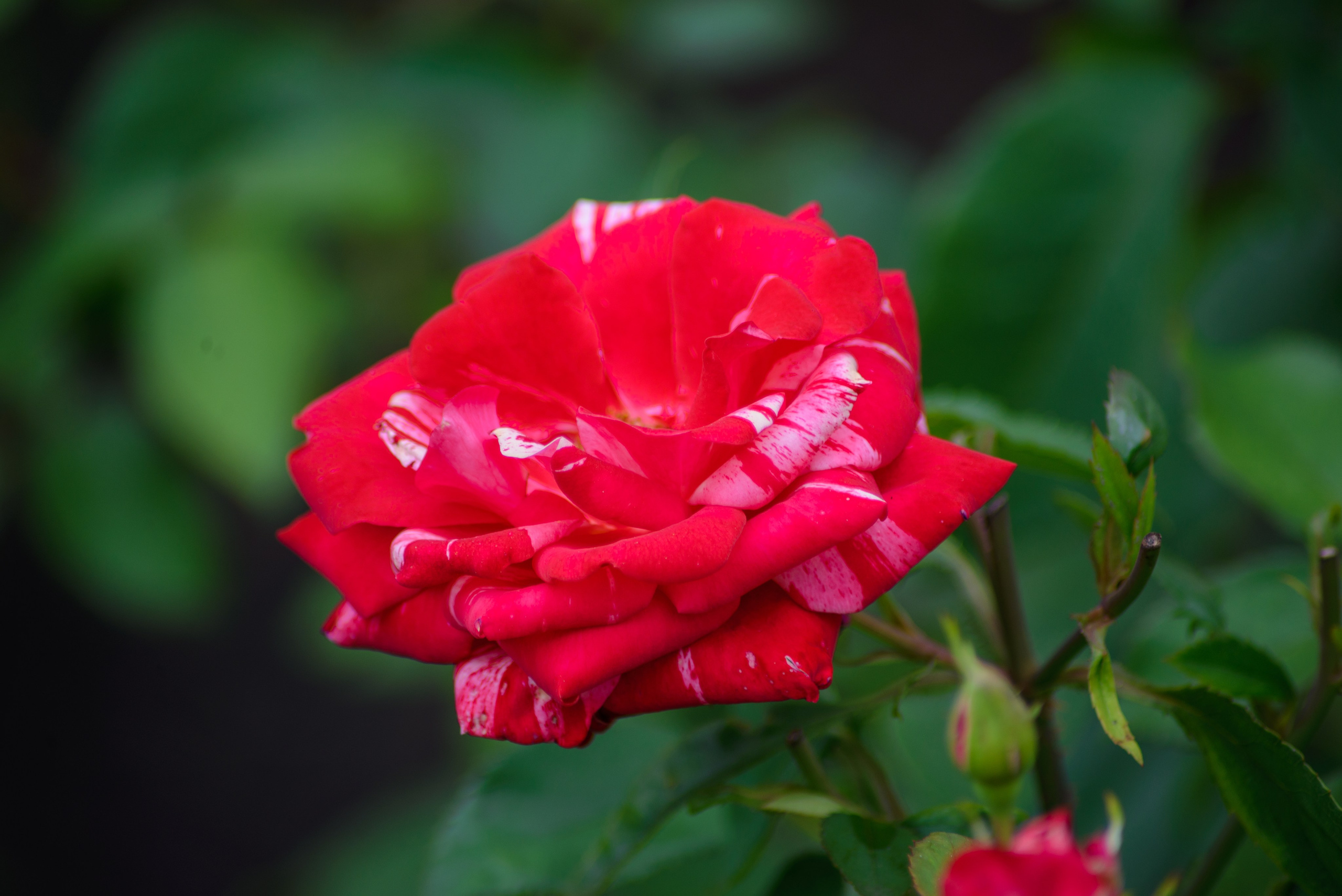 Природа. Фотограф в городе Омске Константин Зоткин