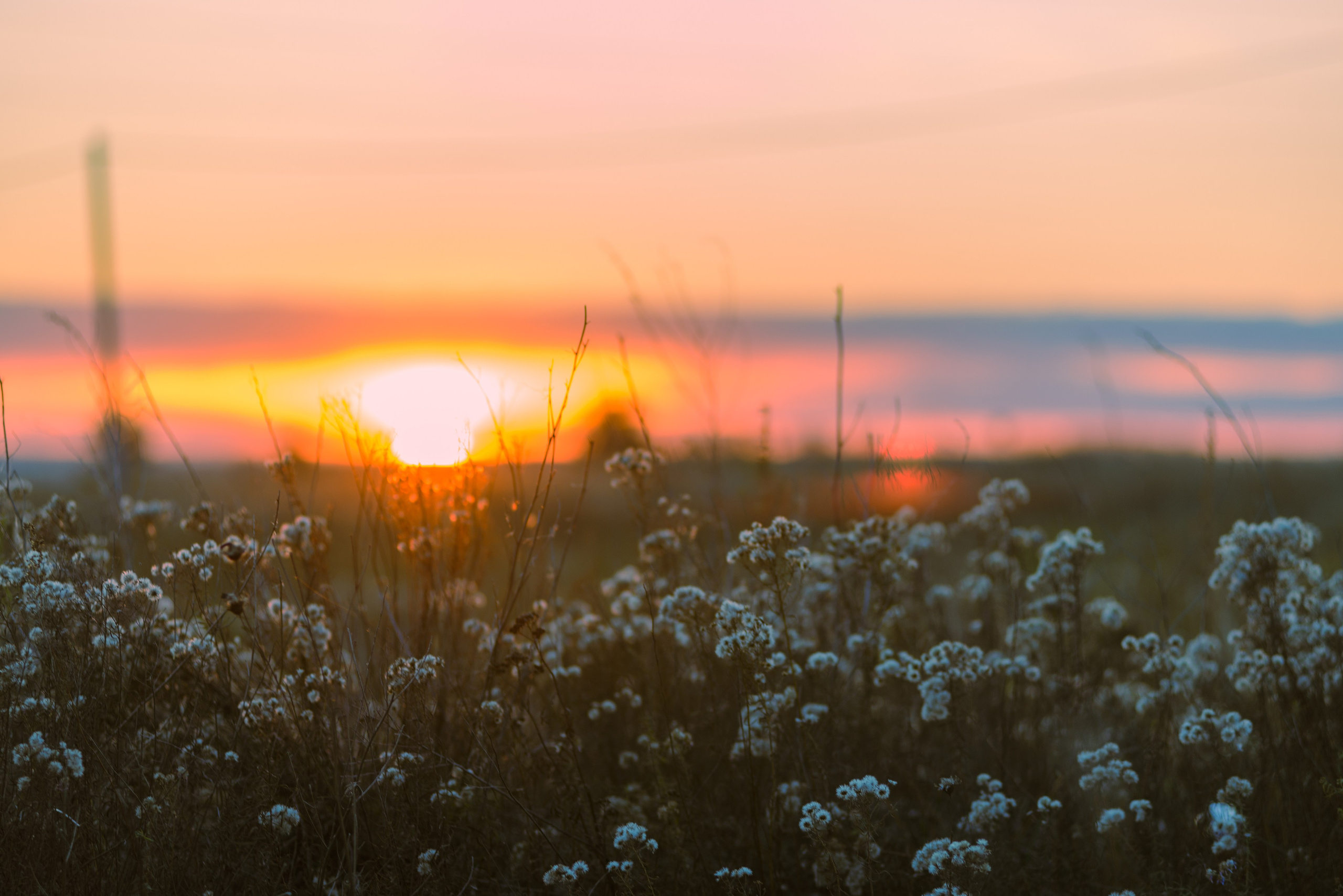 Фотограф в городе Омске Константин Зоткин