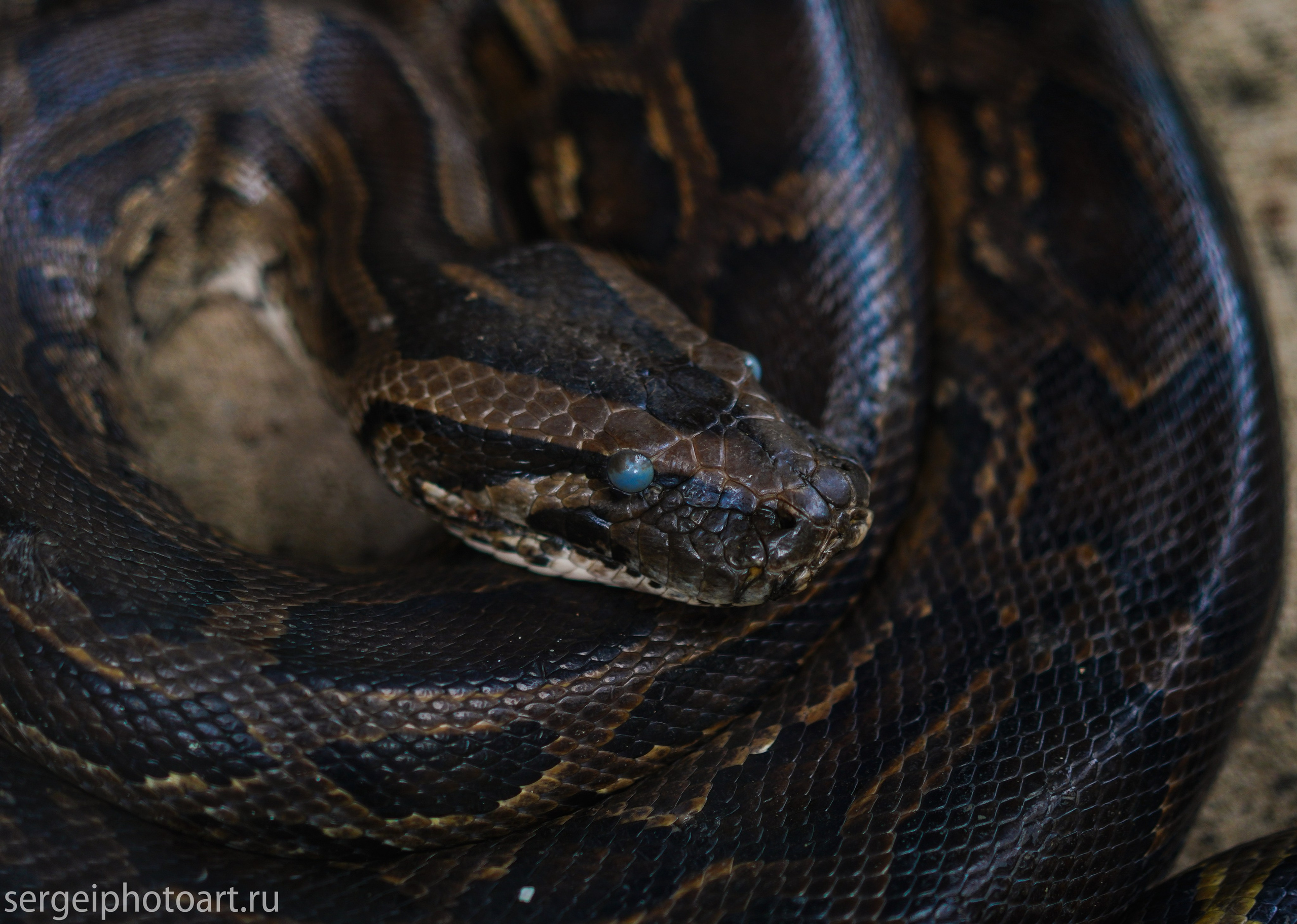 Остров Фукуок, Вьетнам. Фотограф Сергей Кишкель Дананг Нячанг Фукуок