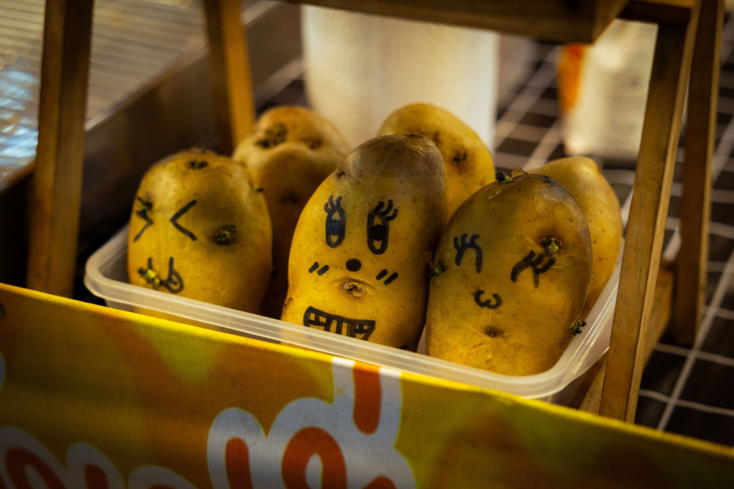 Таиланд (зима 2025). Фотограф Виноградов Константин