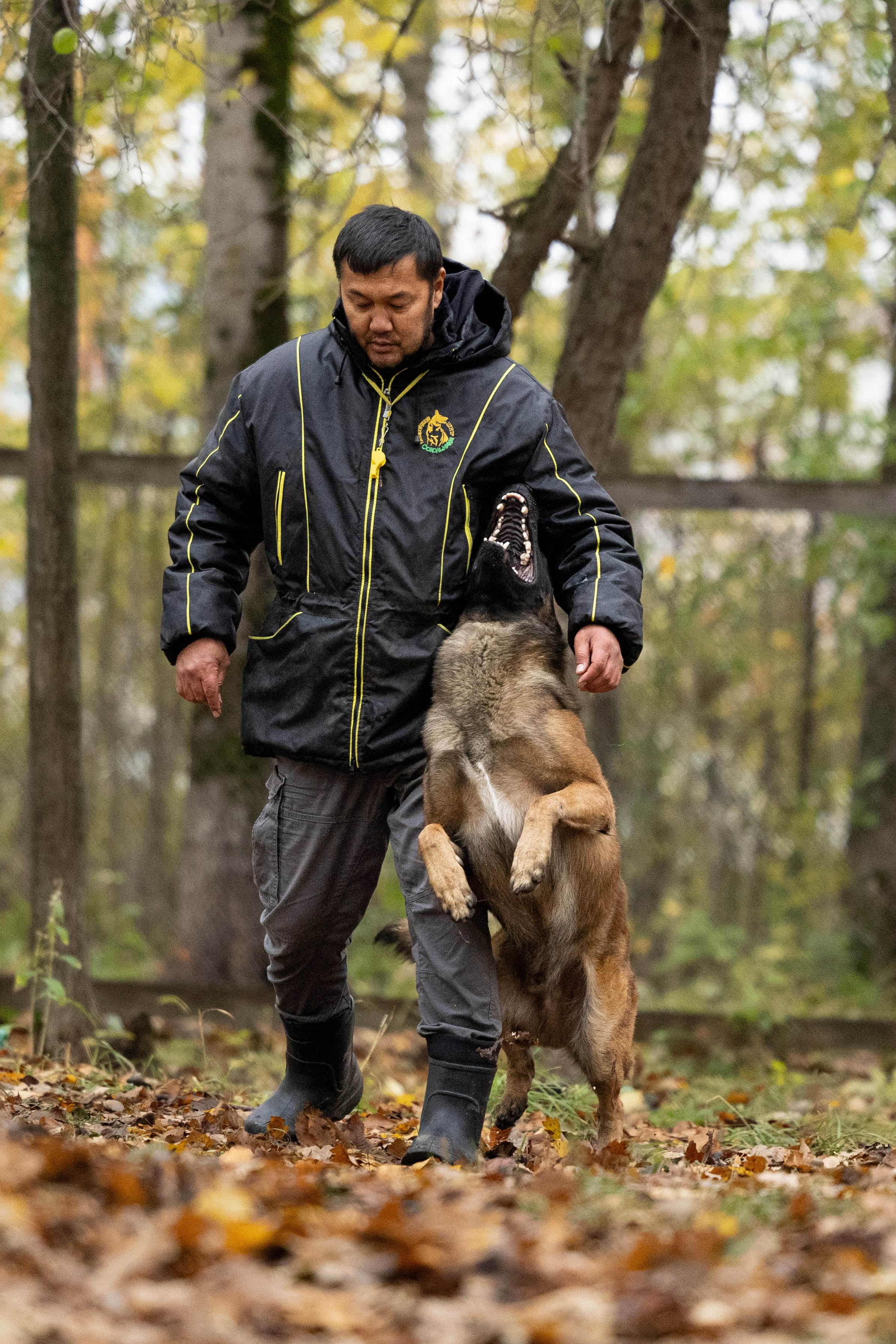 Соревнования по Мондьорингу г. Вологда. Фотограф-анималист Анна Маринич