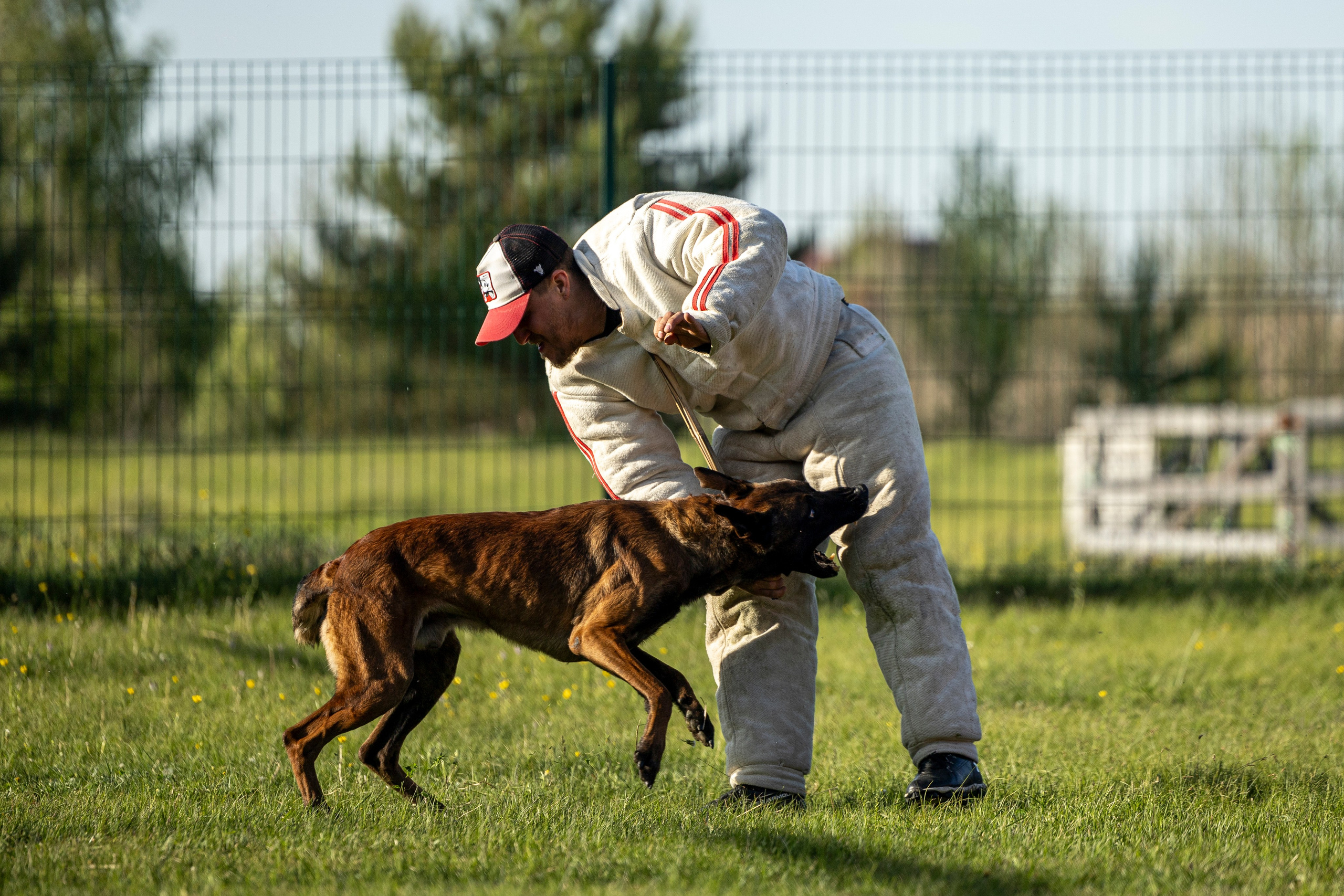 Испытания по мондьорингу в Нижнем Новгороде. Фотограф-анималист Анна Маринич