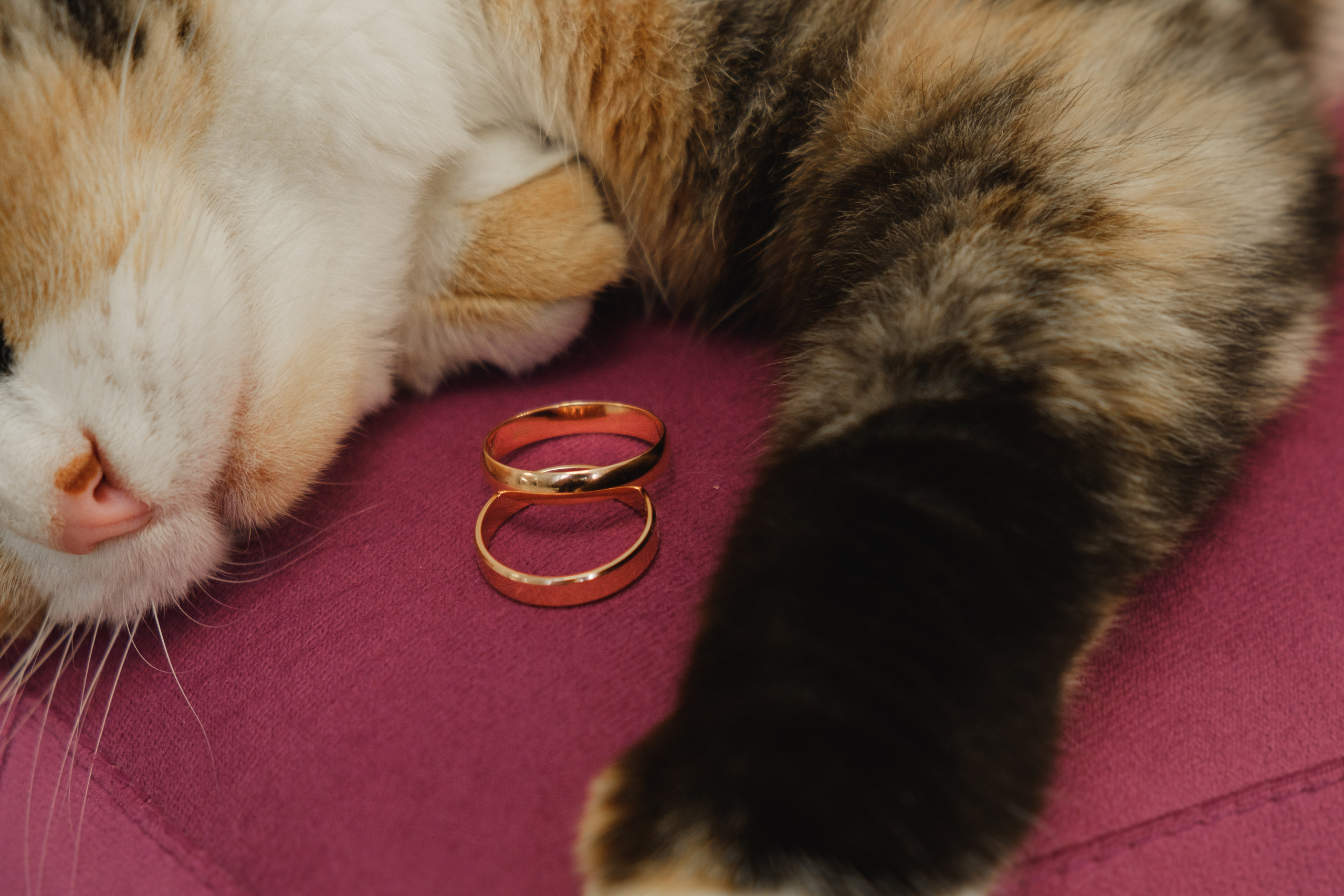 Свадебный фотограф во Владивостоке и Славянке