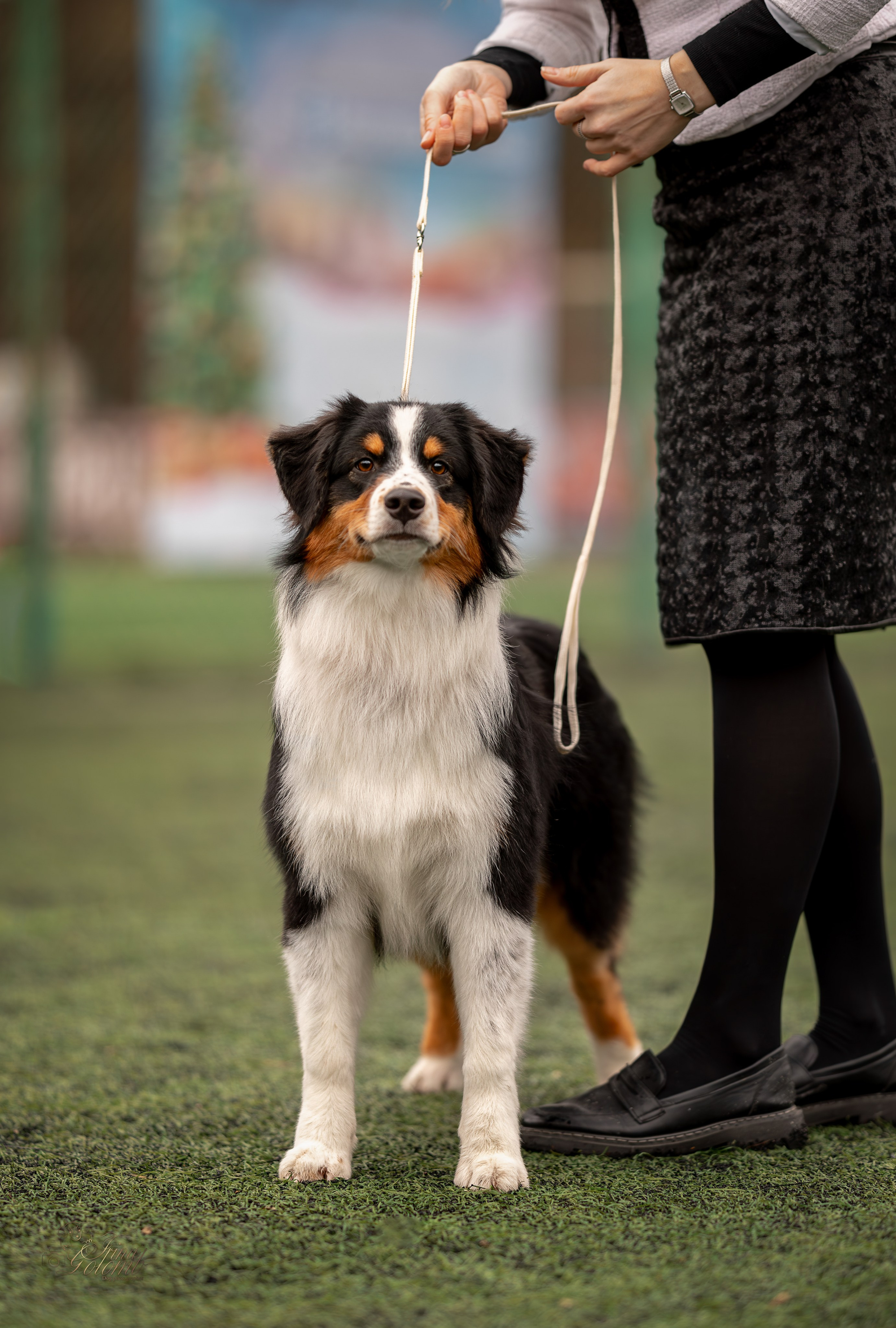 Выставка 17.12.23. Ирина Голомб|Фотограф-анималист в  Сочи и Калининграде