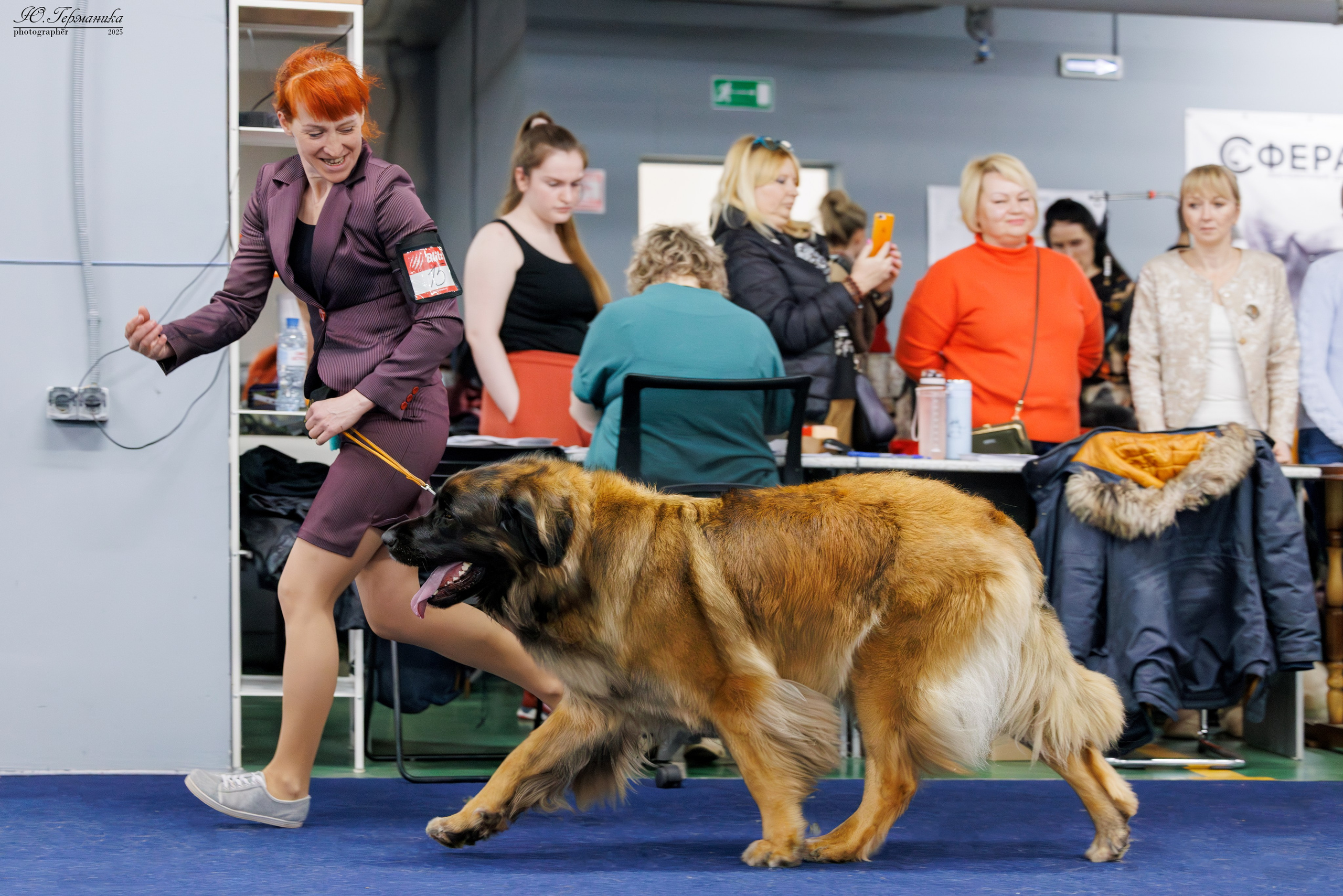 Тверь 12.04,Сфера 13.04,Сергиев Посад 19.04.2025. Фотограф-анималист Юлия Германика
