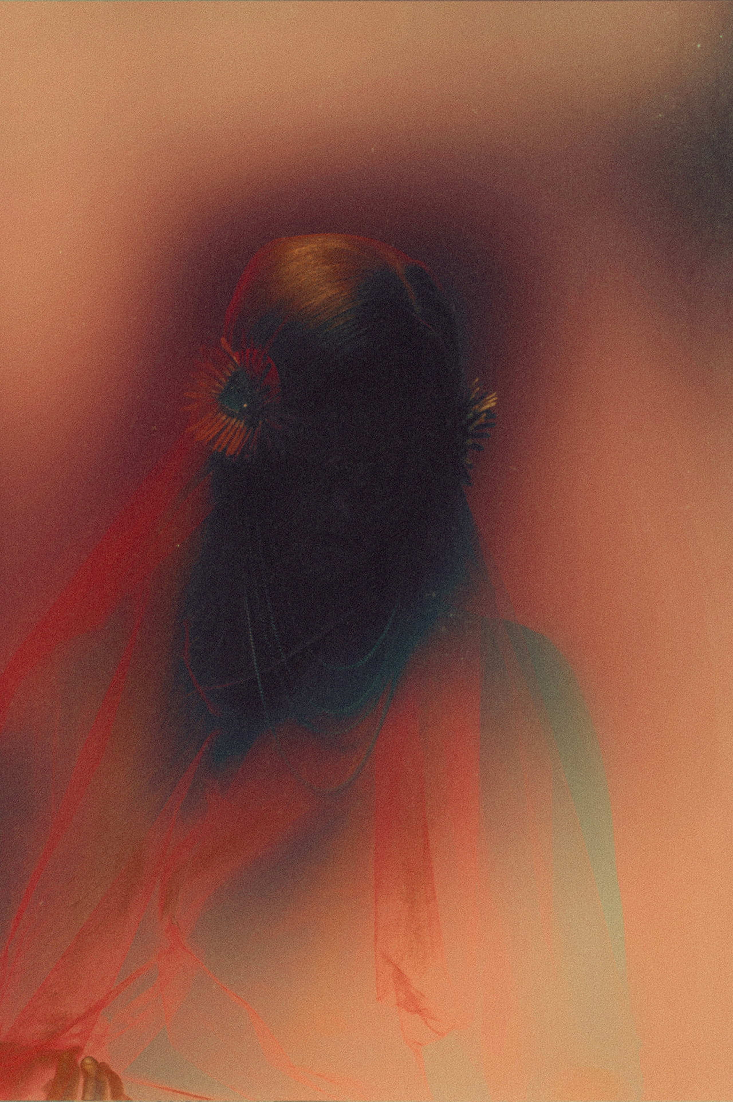 Red ASH. Дарья Володина — арт и fashion фотограф в Москве | рекламные и ювелирные съемки