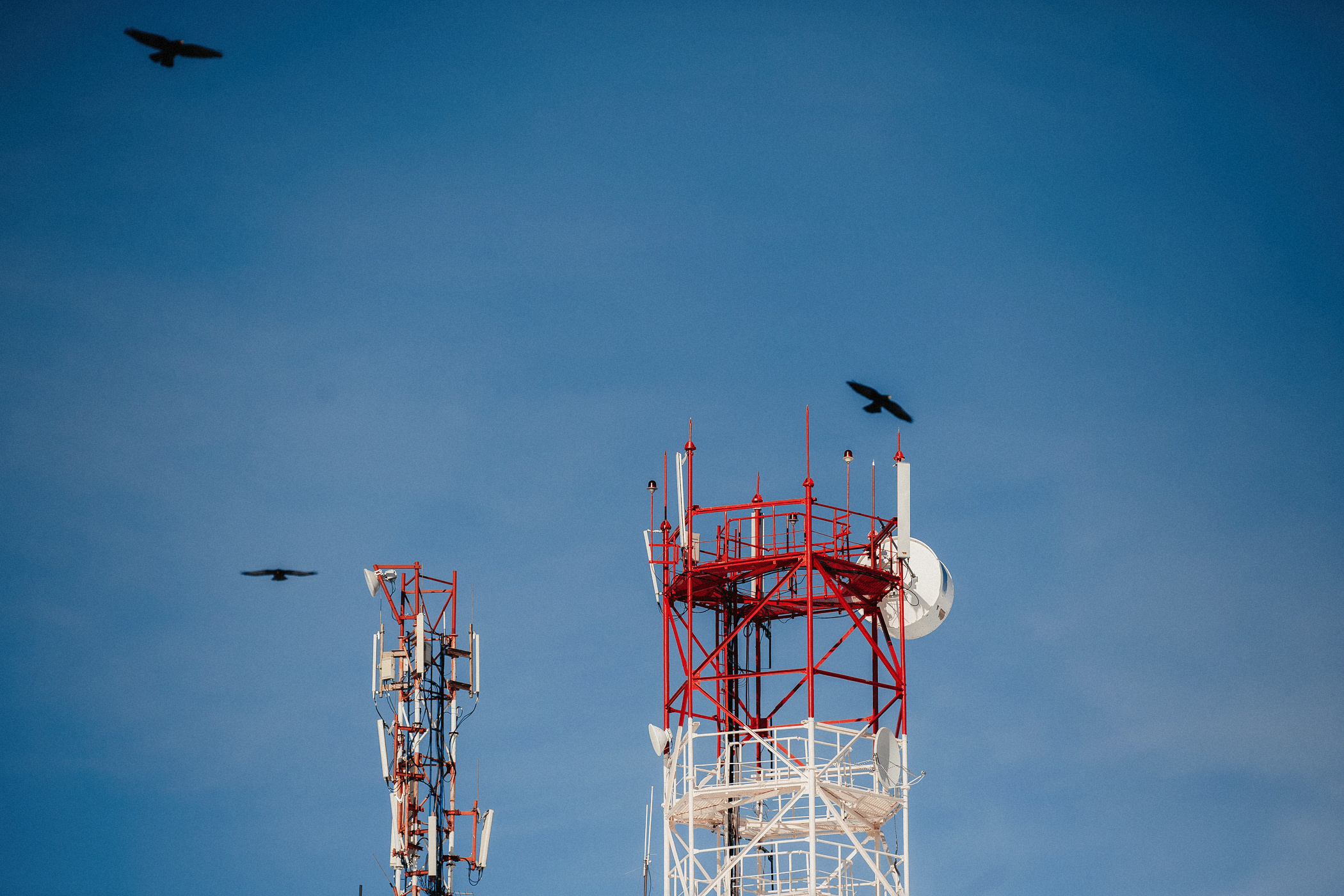 Домбай. Фотограф в Краснодаре Эдуард Канукаев