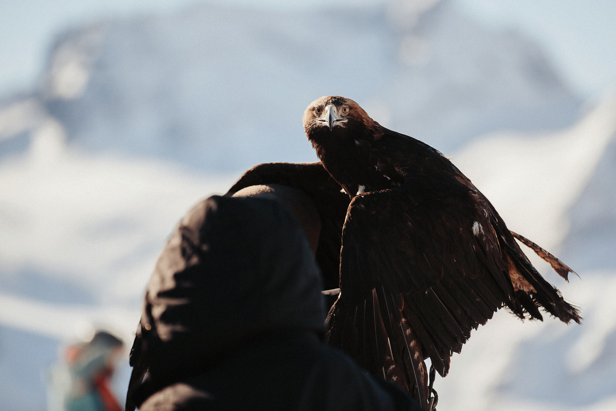 Домбай. Фотограф в Краснодаре Эдуард Канукаев