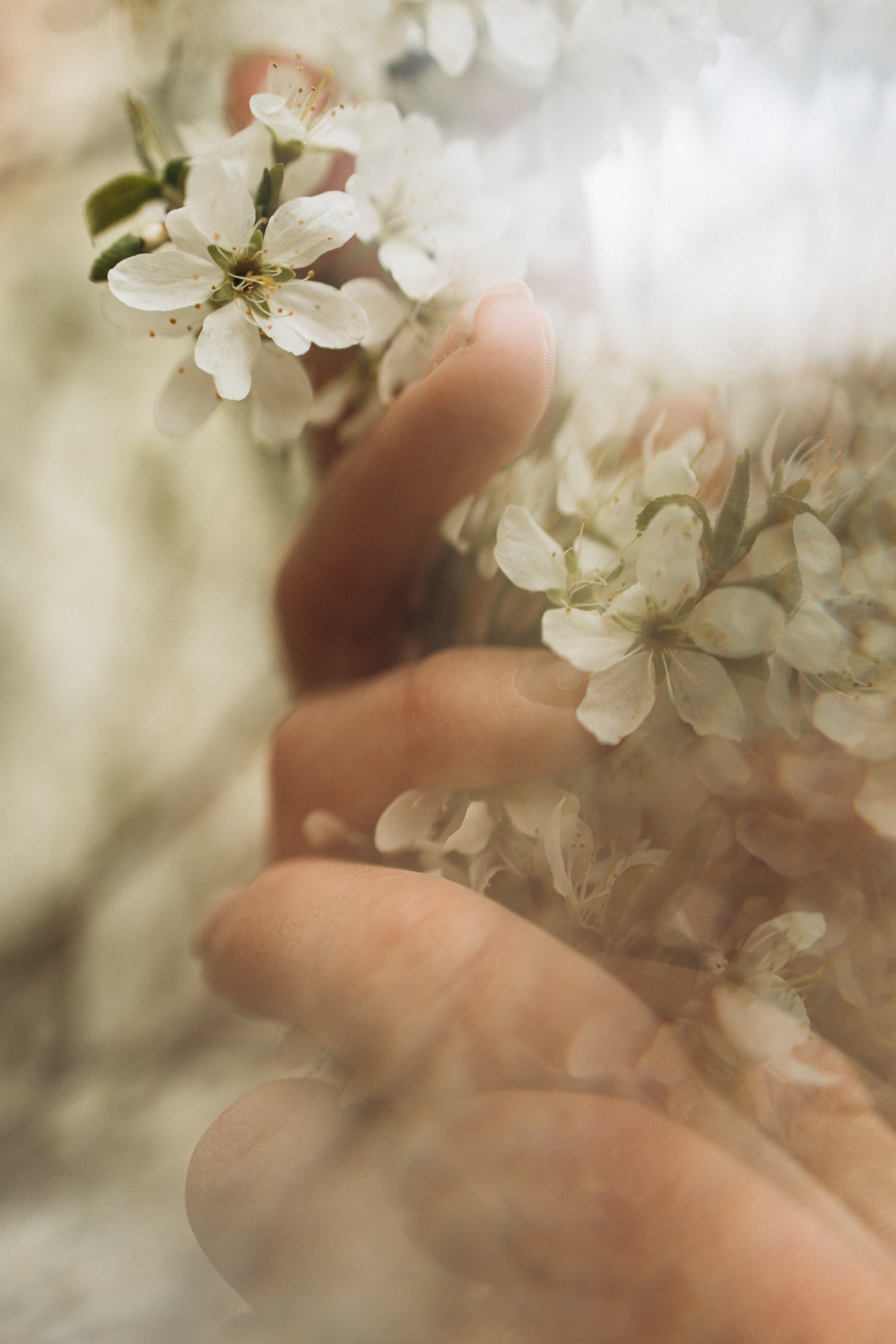 Весна. Фотограф Валерия Ковпак. Москва. Химки. Куркино