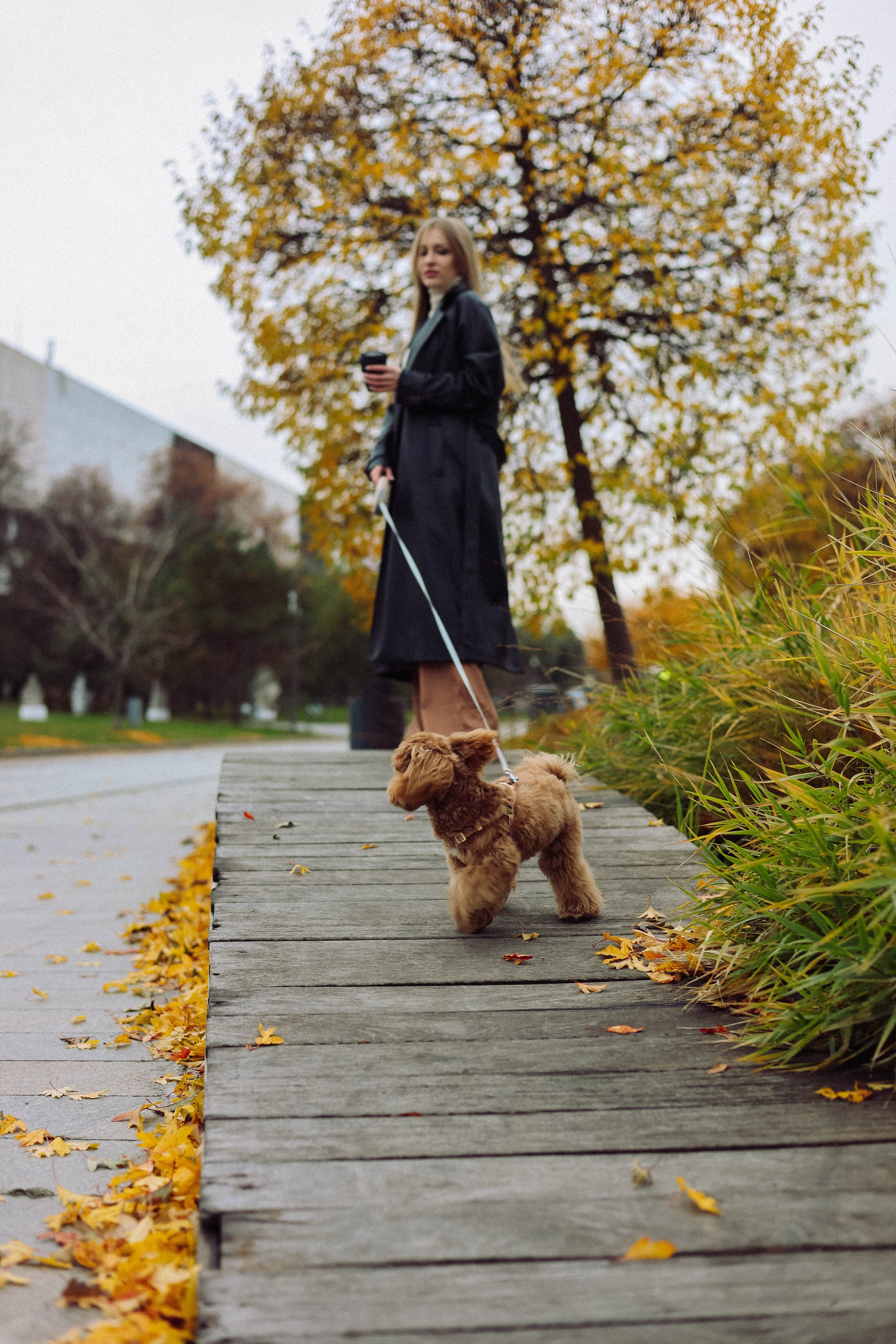 Кира. Фотограф в Москве Анастасия Калинина