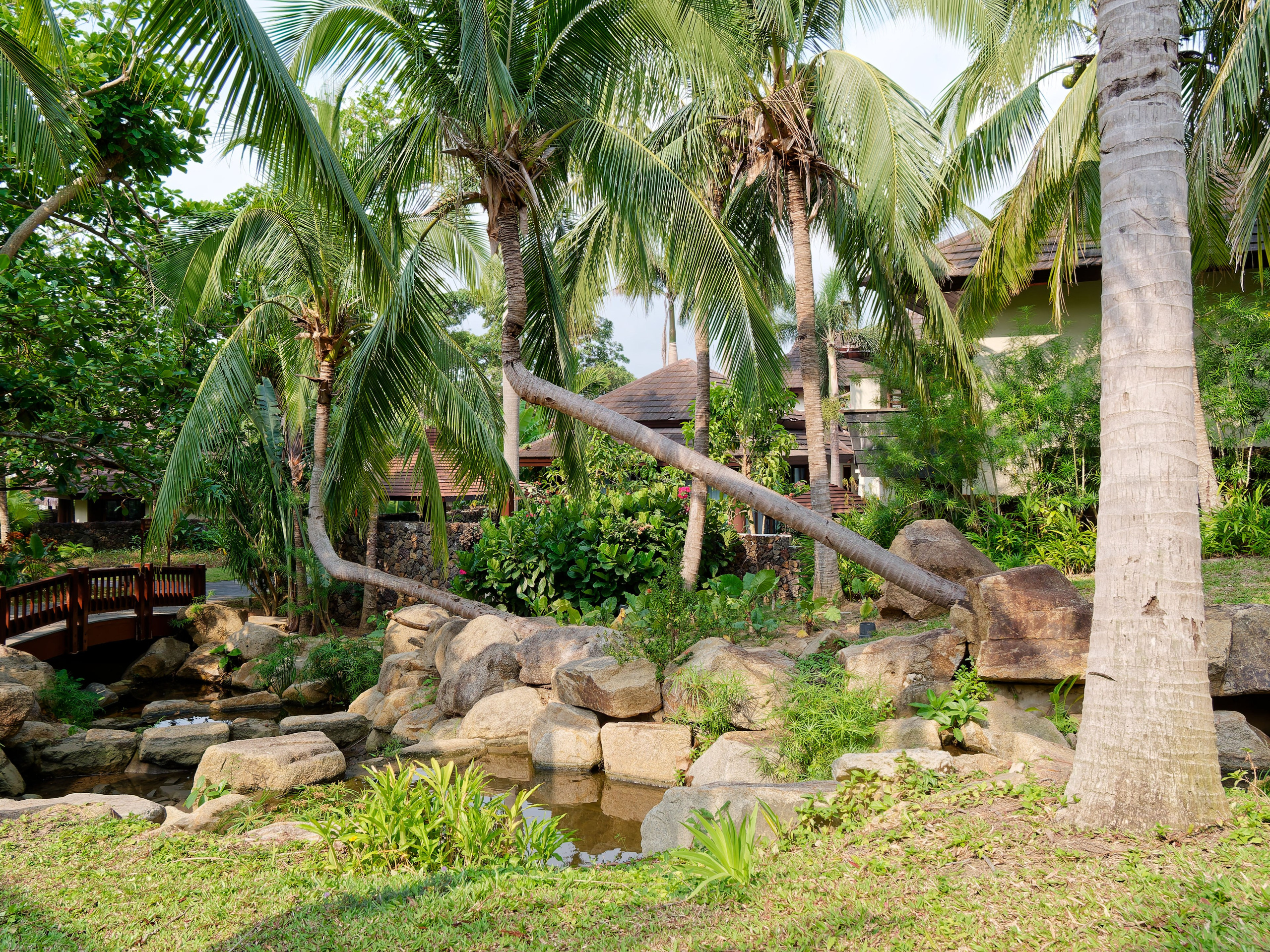 Хайнань 2026, первые впечатления. Фотопрогулки по Миру