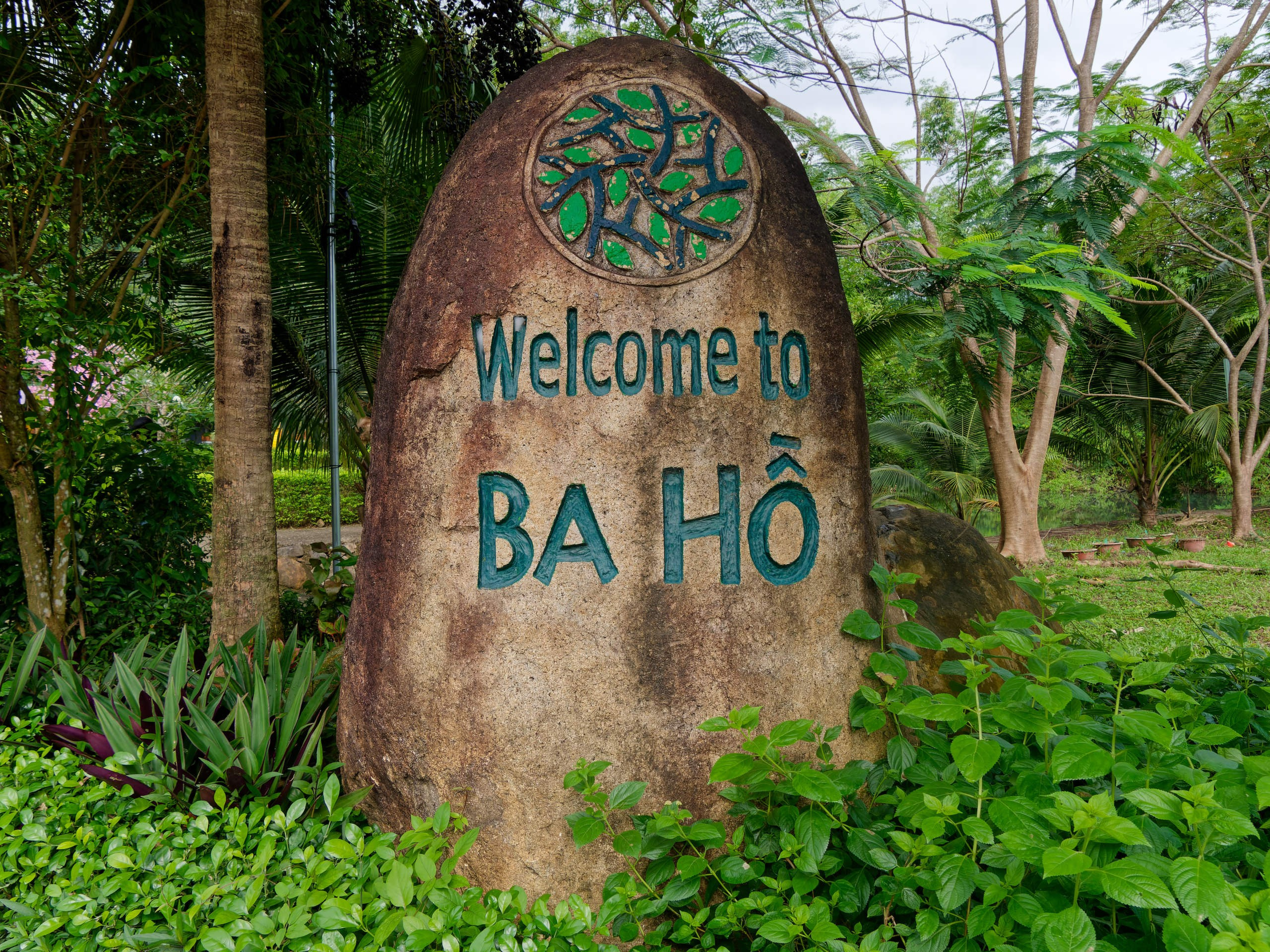 Нячанг 2025 (5). Избранные фотографии