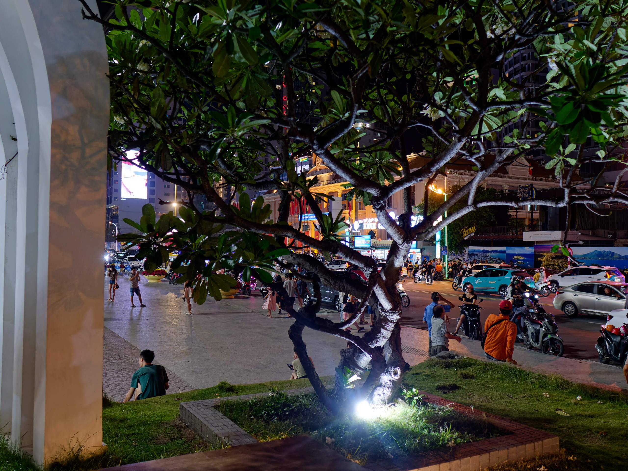 Нячанг 2025 (7). Избранные фотографии