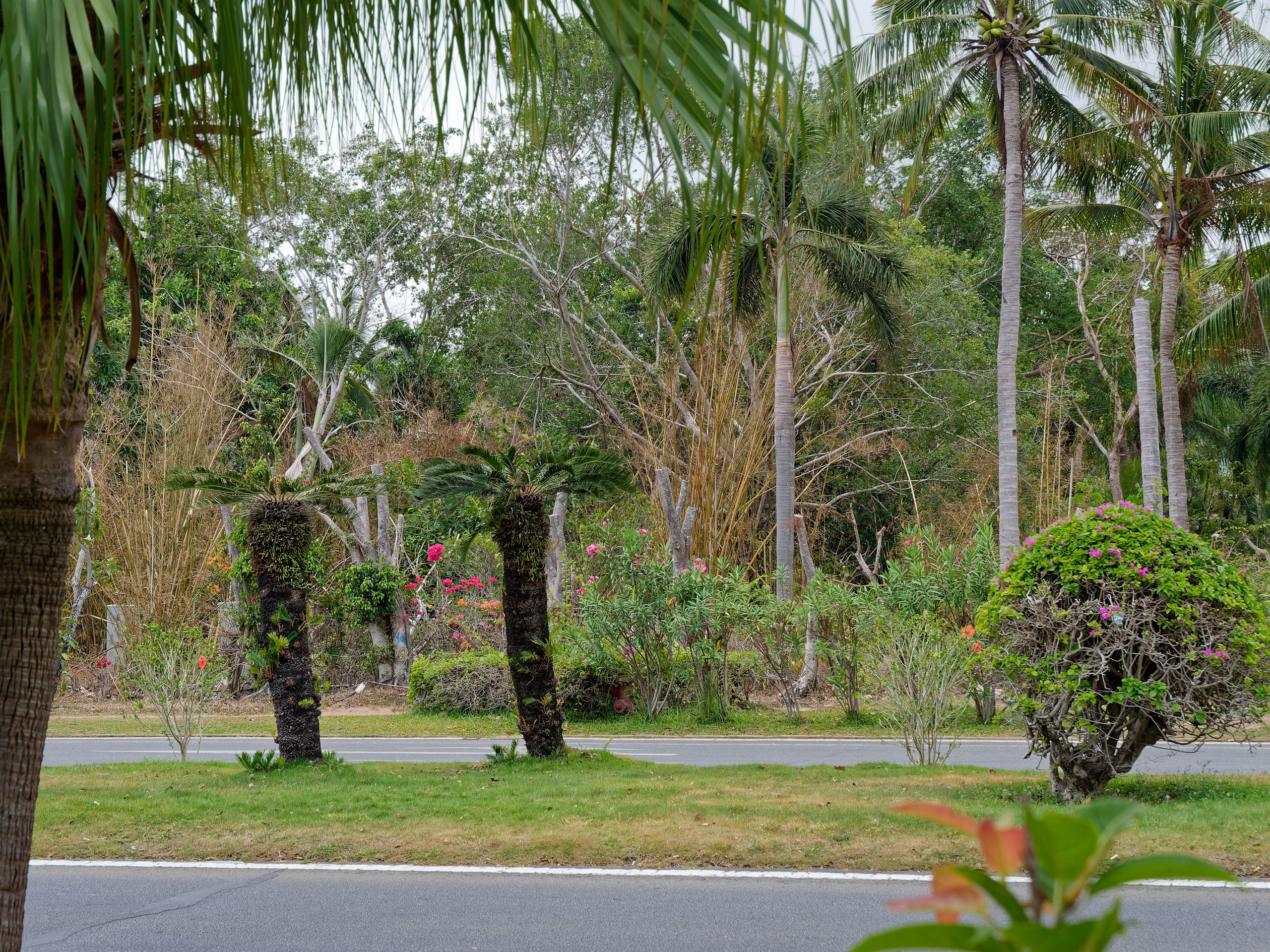 Хайнань 2026, улицы Ялунвань и Саньи. Фотопрогулки по Миру