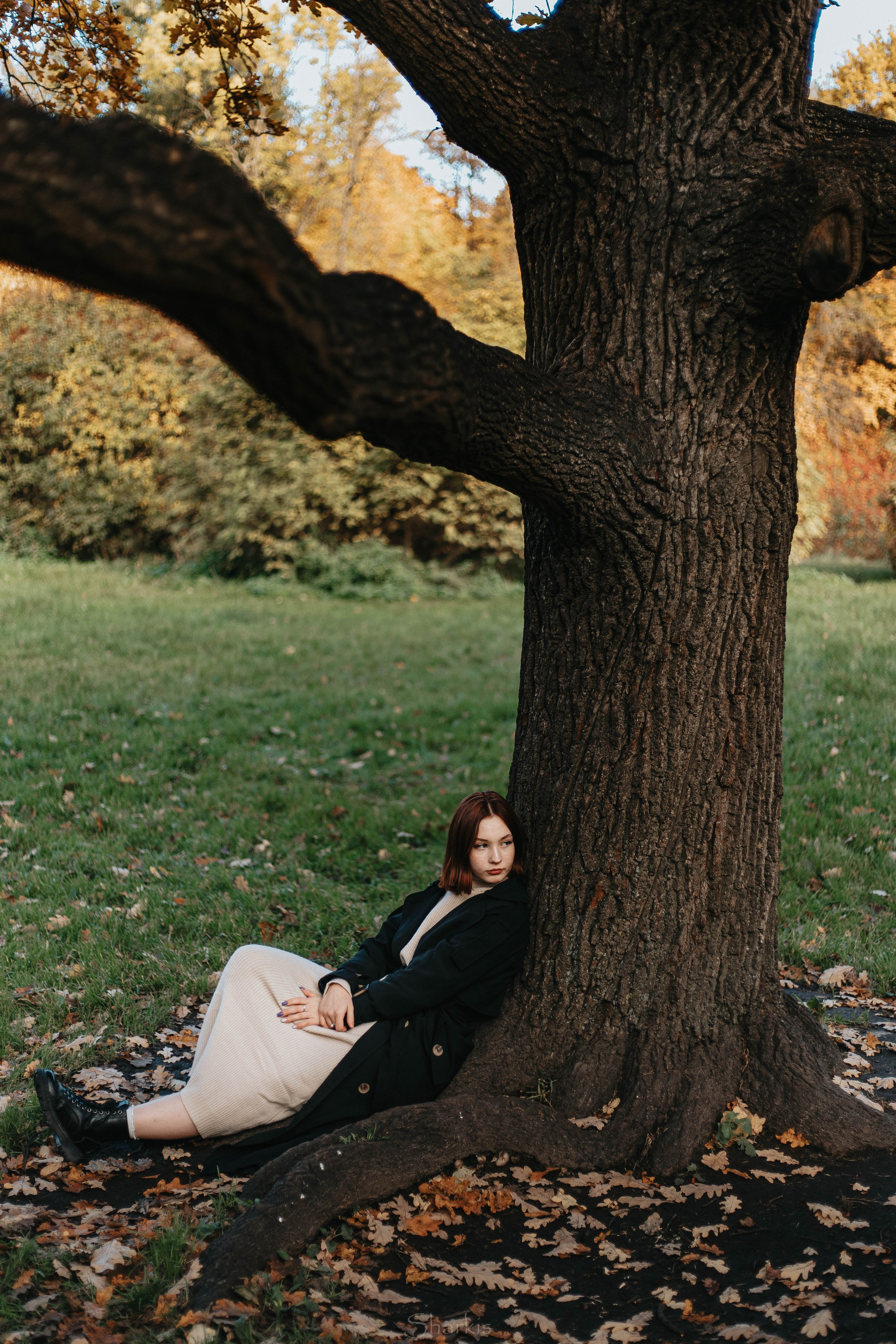 Света. Главная