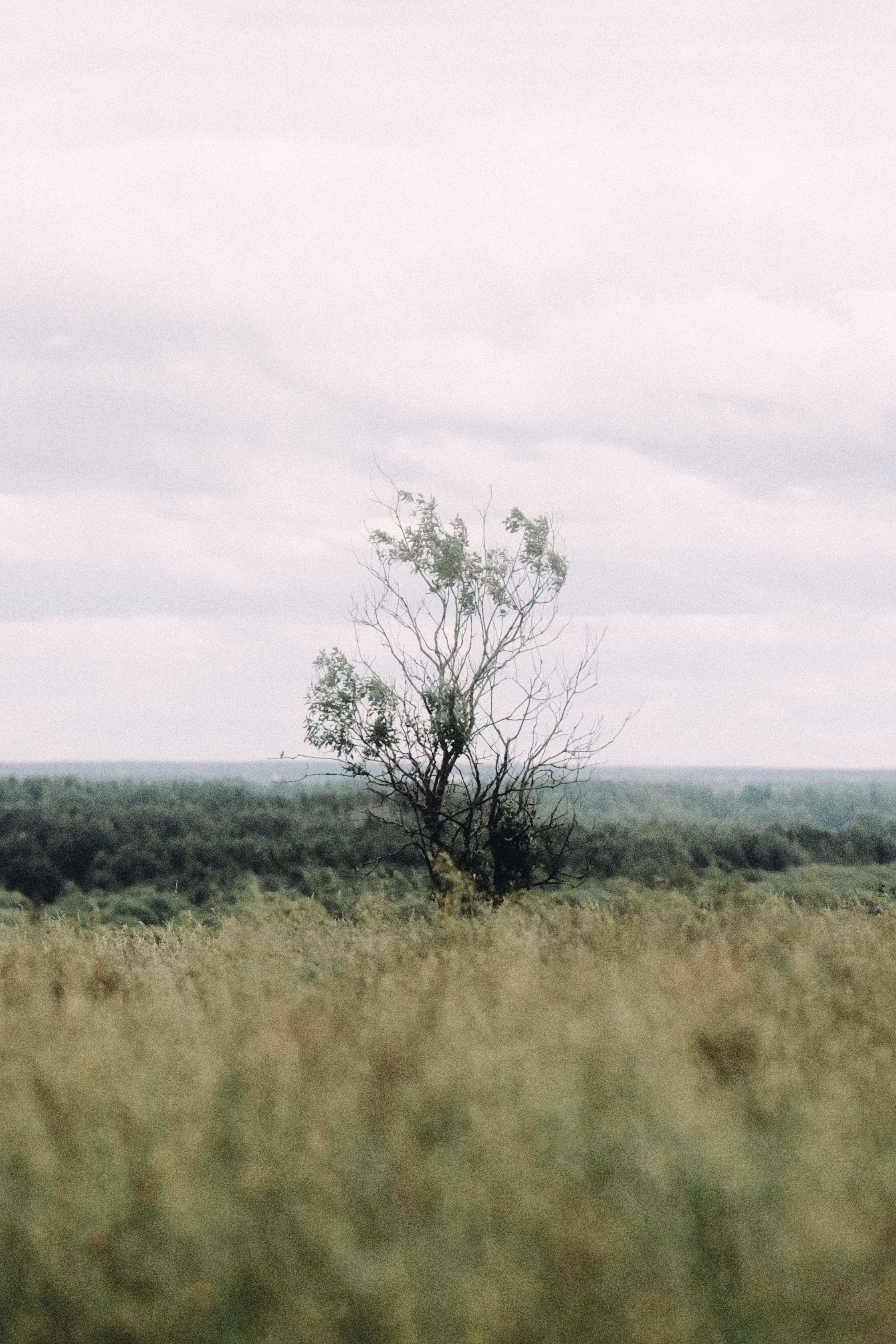 Пейзажи. Фотограф-любитель из Кирова Андрей Погребняк