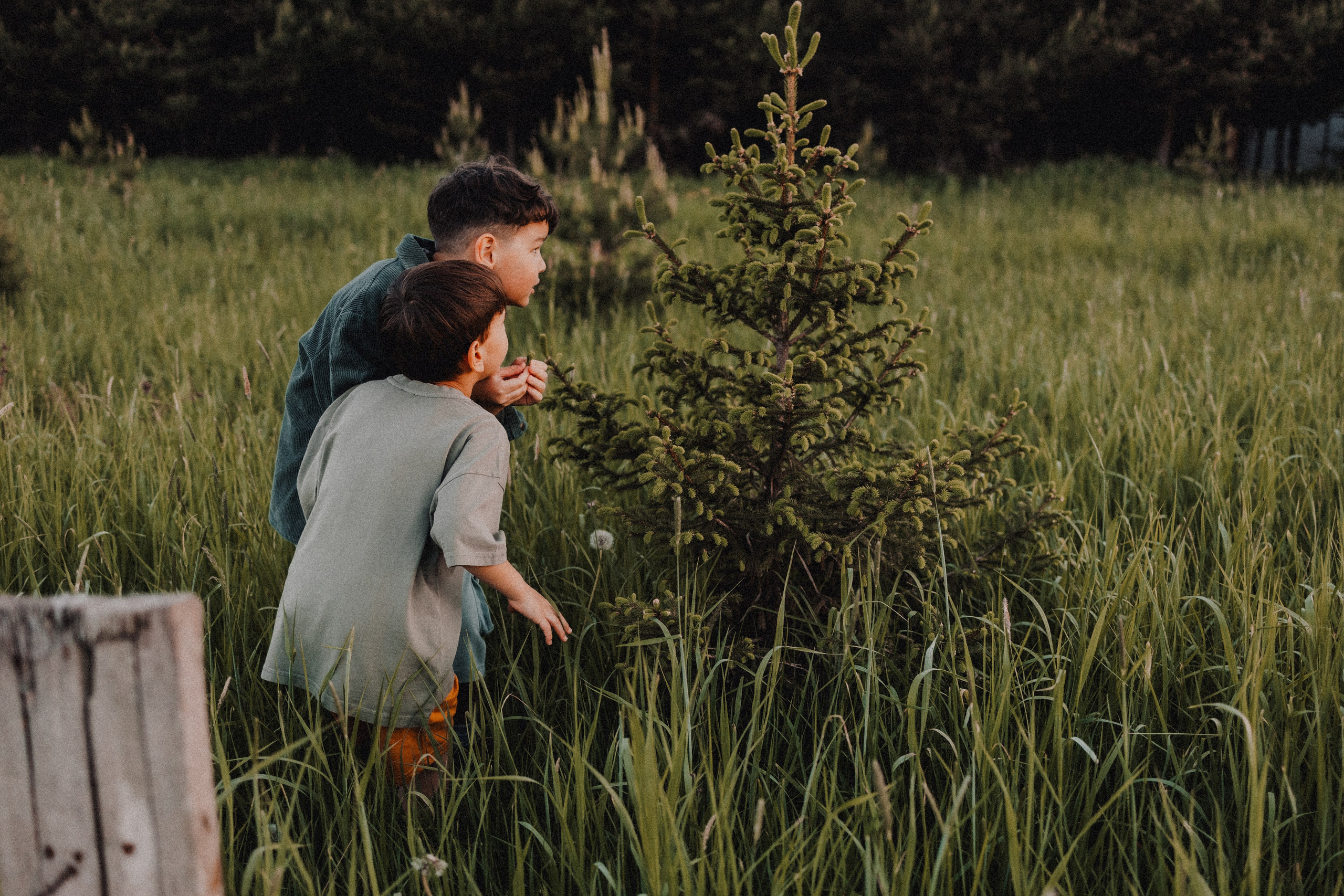 Руслан и Тимур 3. Семейный фотограф Москва