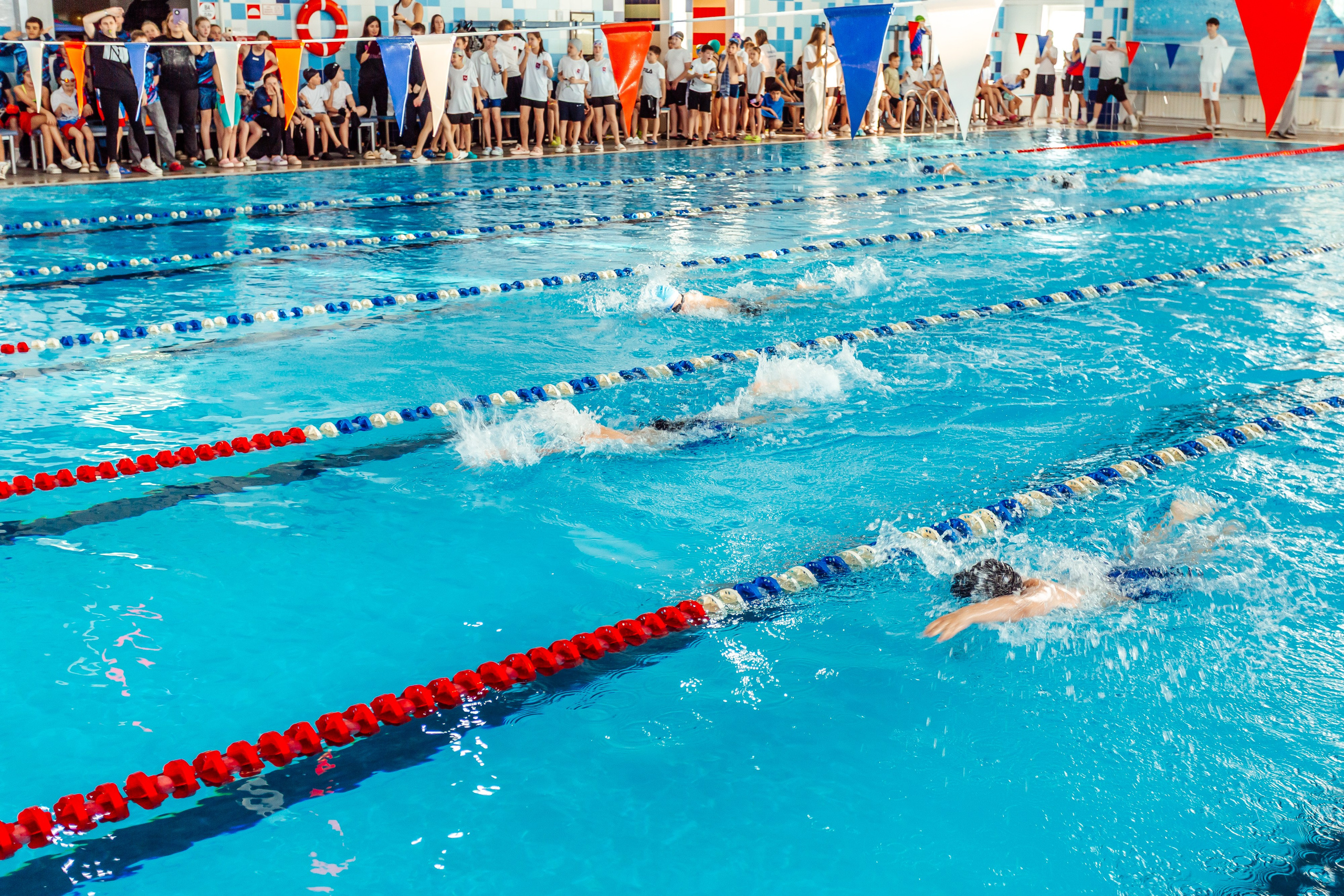 Школа плавания «Виктория». Свадебный фотограф в Краснодаре Николай Крауз