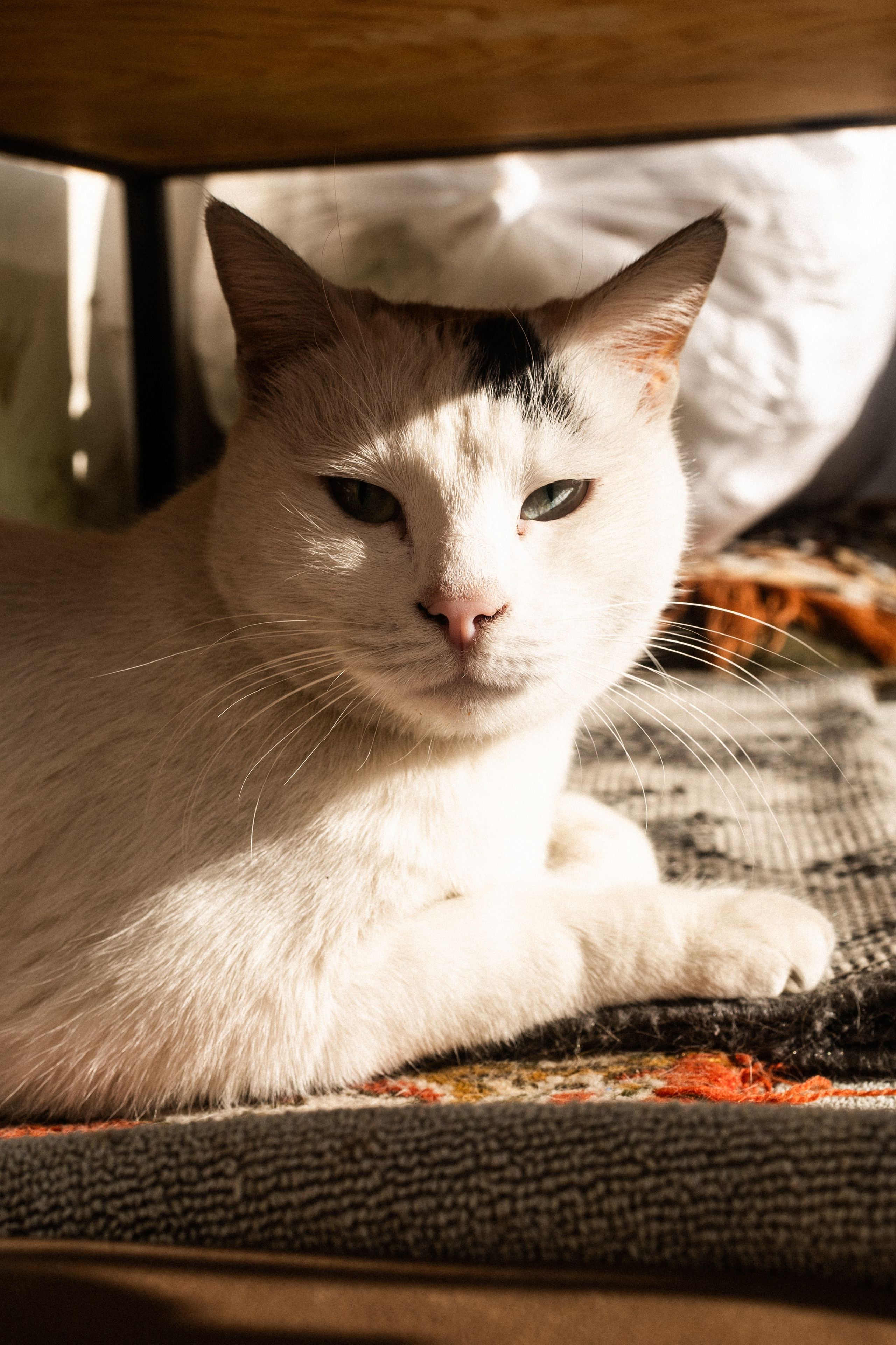 Грузия!. Фотограф Акимова Кэт