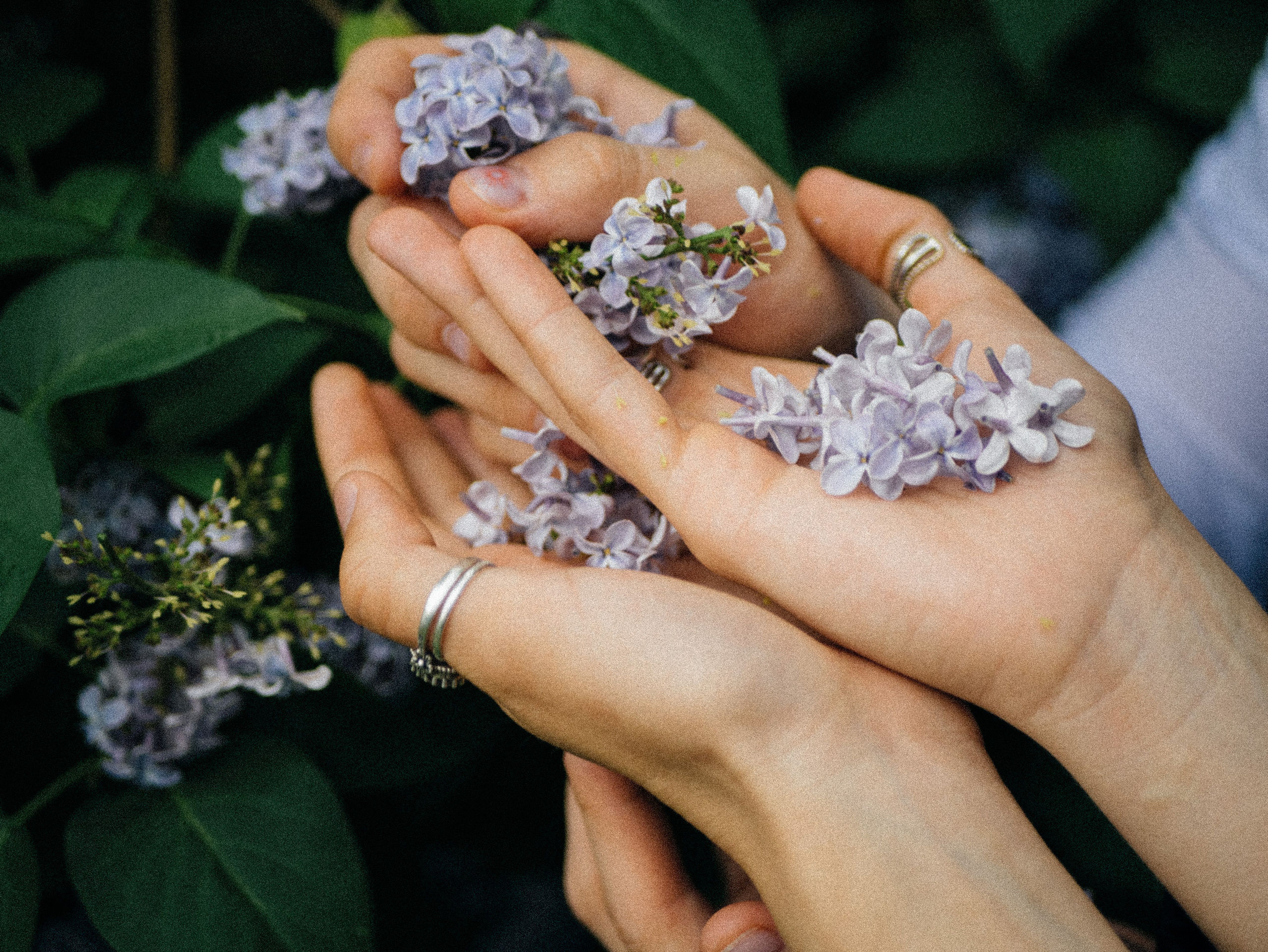 Асим и Леся. Фотограф Нэля Хаматова