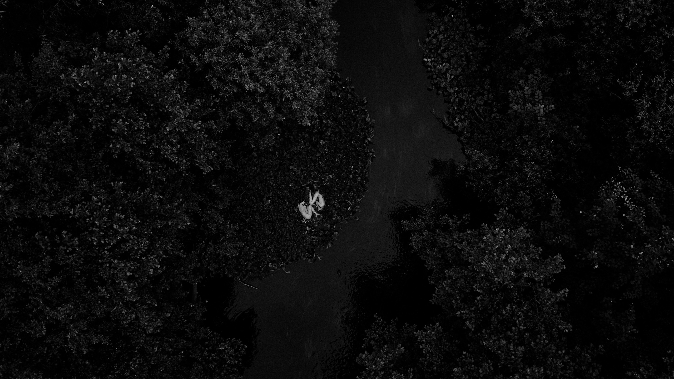 Фотосессия Love Story — романтичные снимки для влюбленных | Дмитрий Мазуркевич. Дмитрий Мазуркевич: Профессиональный Репортажный Фотограф