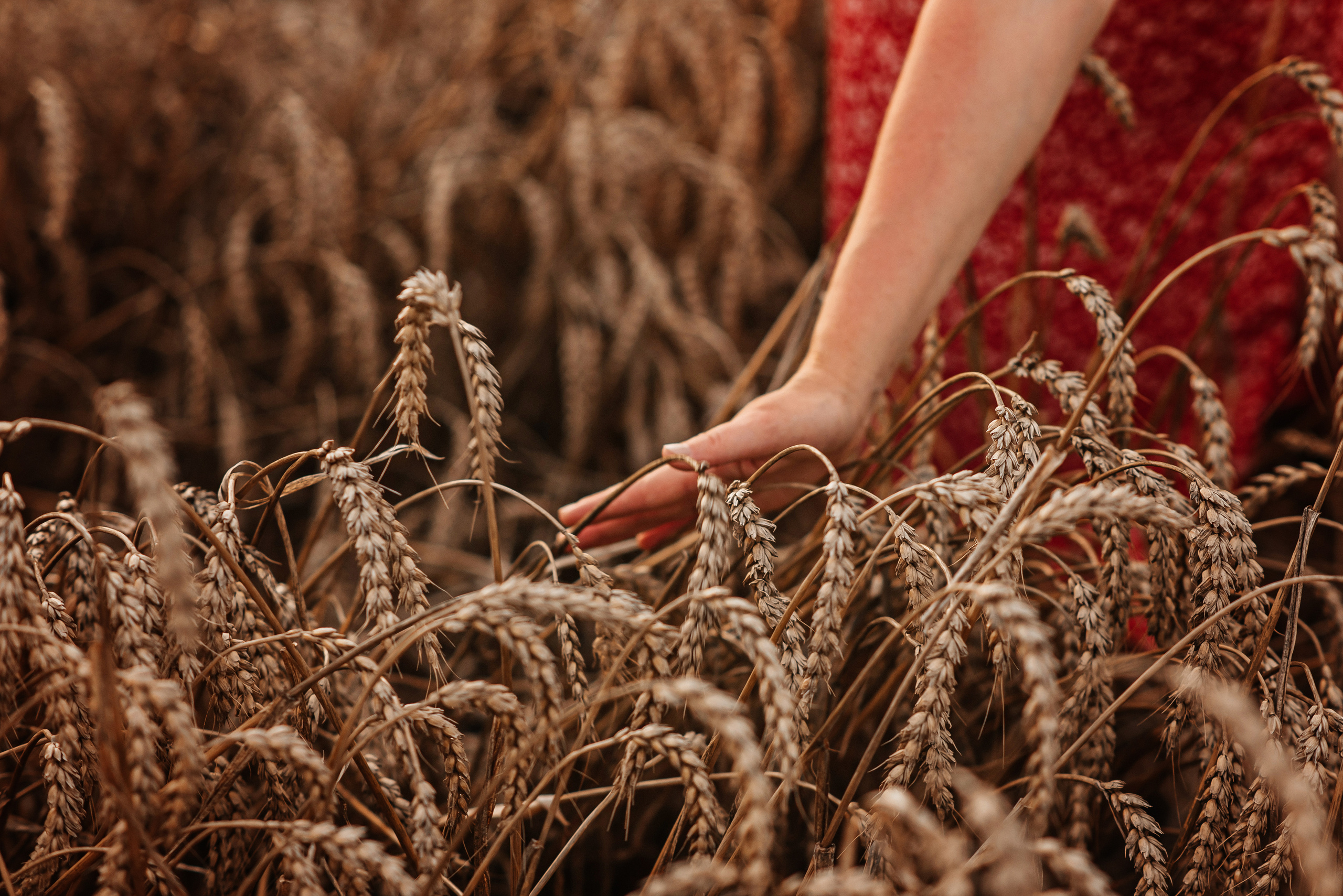 Прекрасный отпуск. Детский и семейный фотограф выпускной альбом Приморско-Ахтарск
